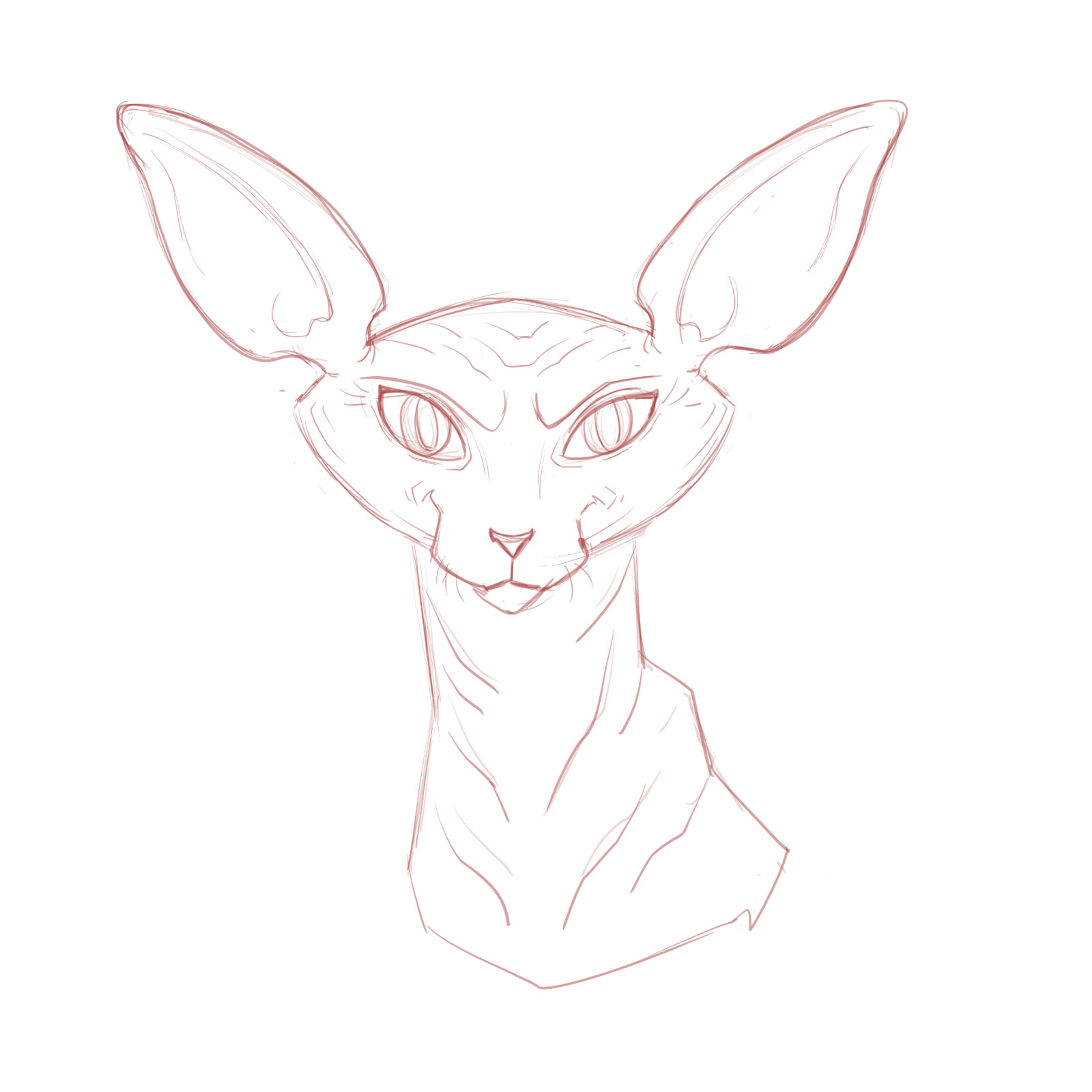 Sketch.