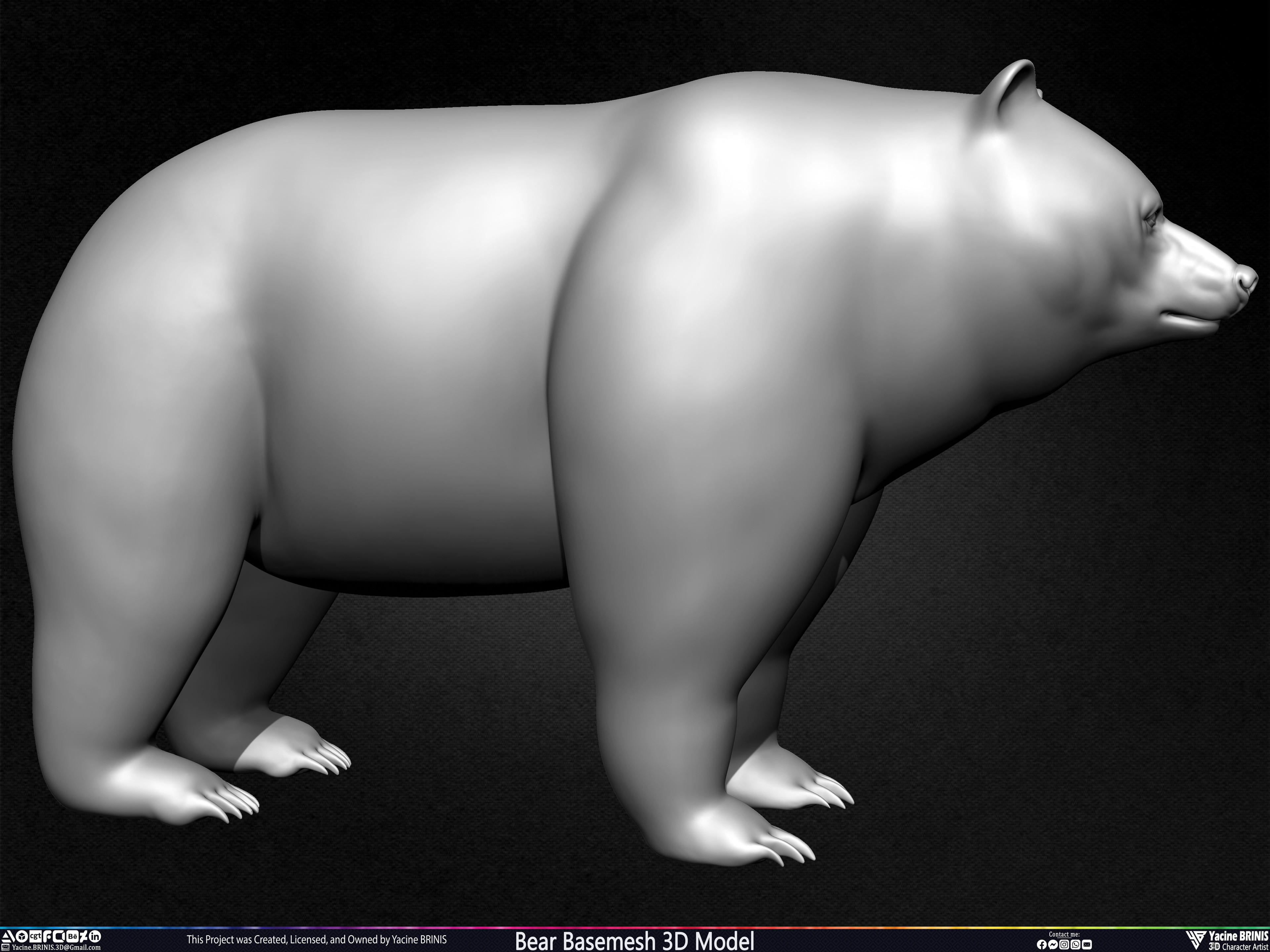 Bear Basemesh 3D Model Sculpted by Yacine BRINIS Set 003