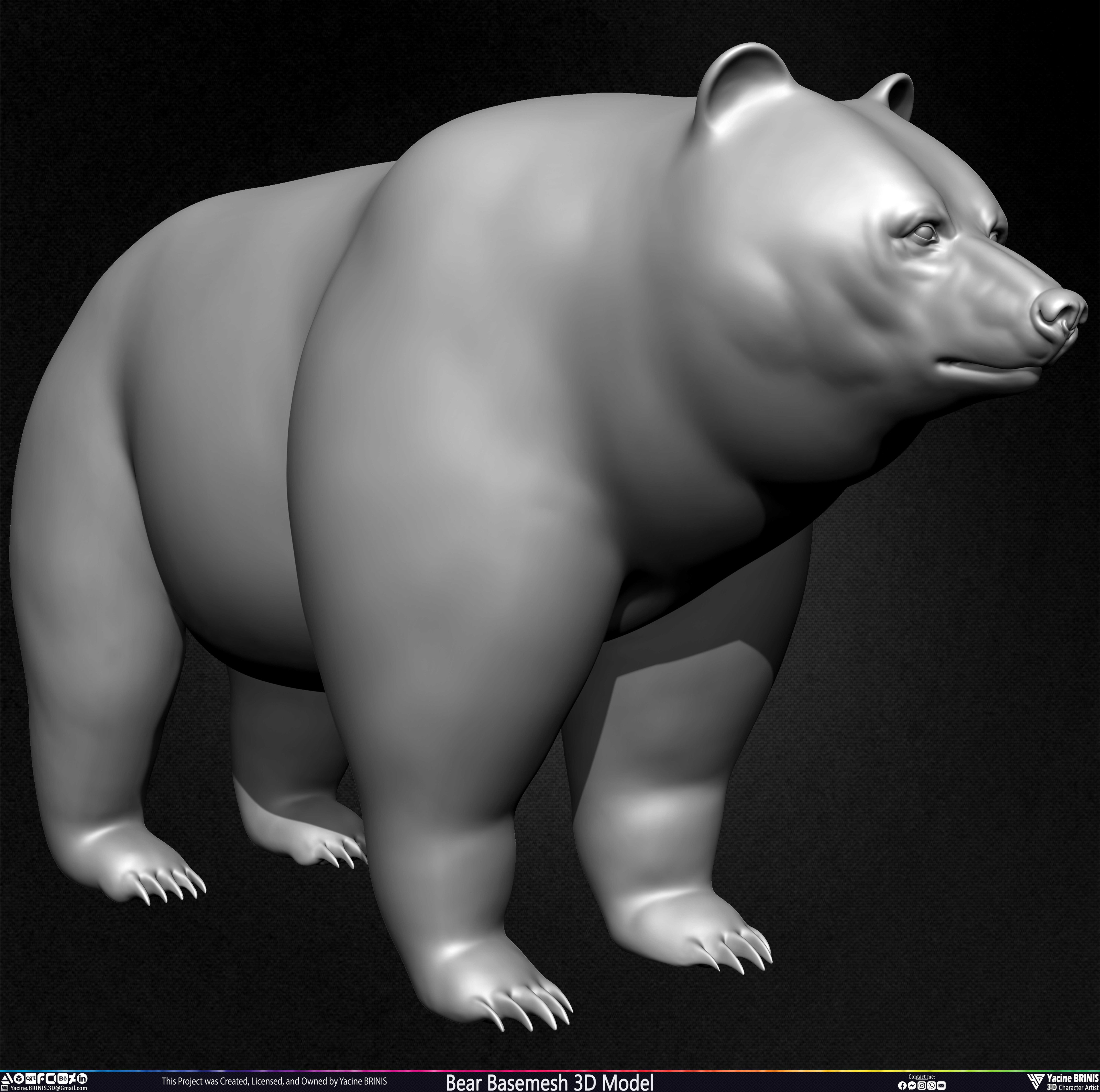Bear Basemesh 3D Model Sculpted by Yacine BRINIS Set 005