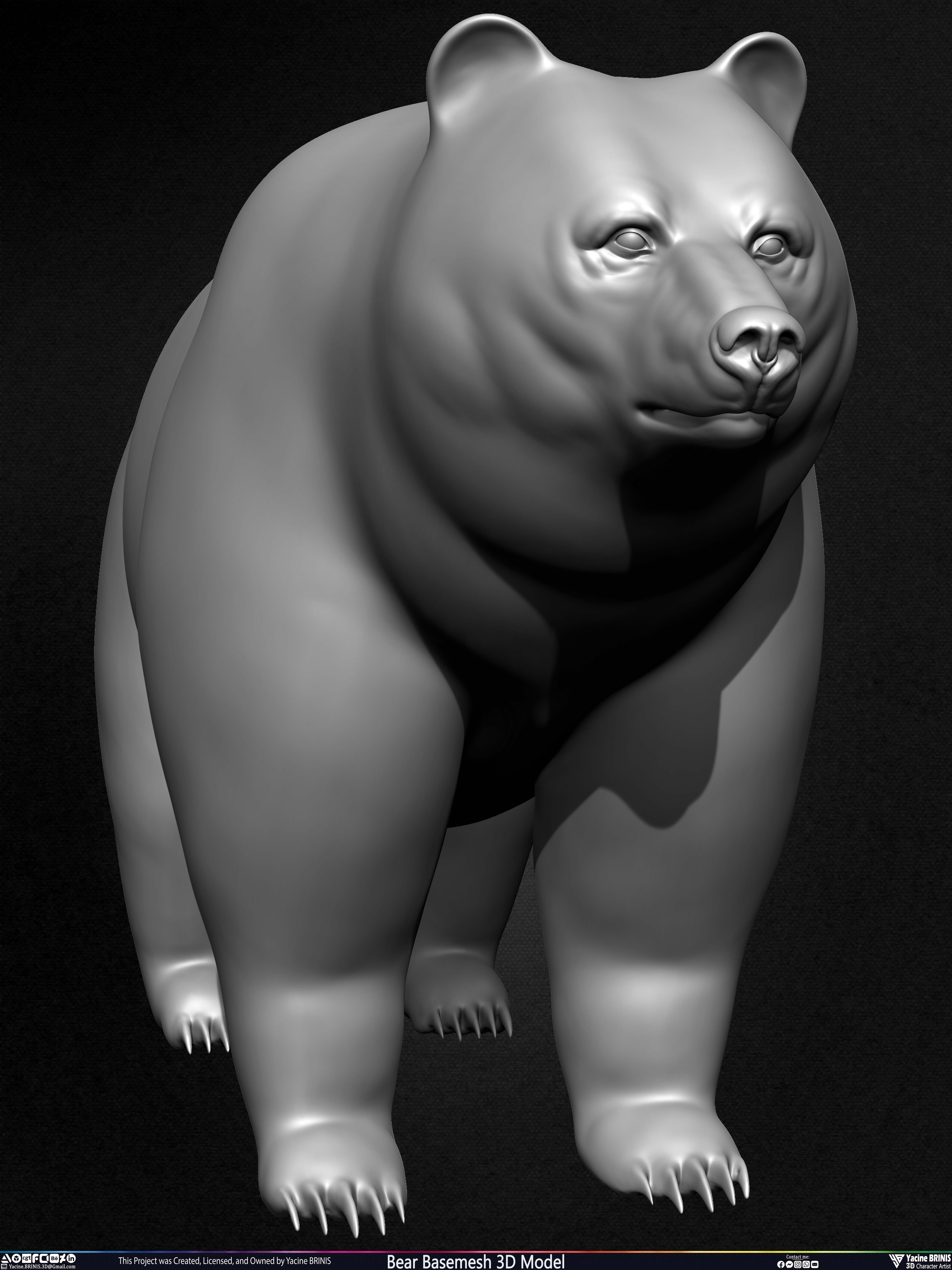 Bear Basemesh 3D Model Sculpted by Yacine BRINIS Set 007