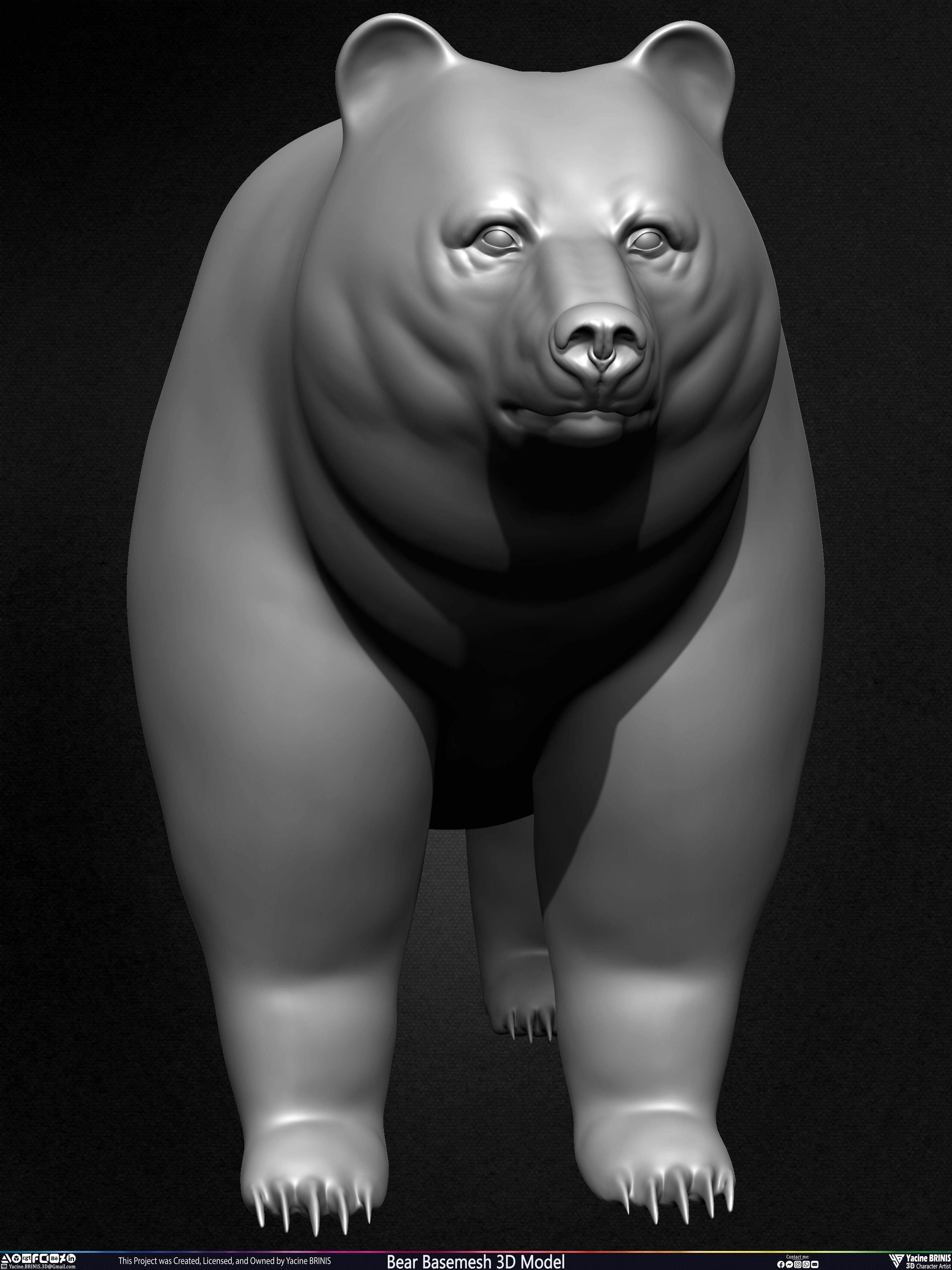 Bear Basemesh 3D Model Sculpted by Yacine BRINIS Set 008