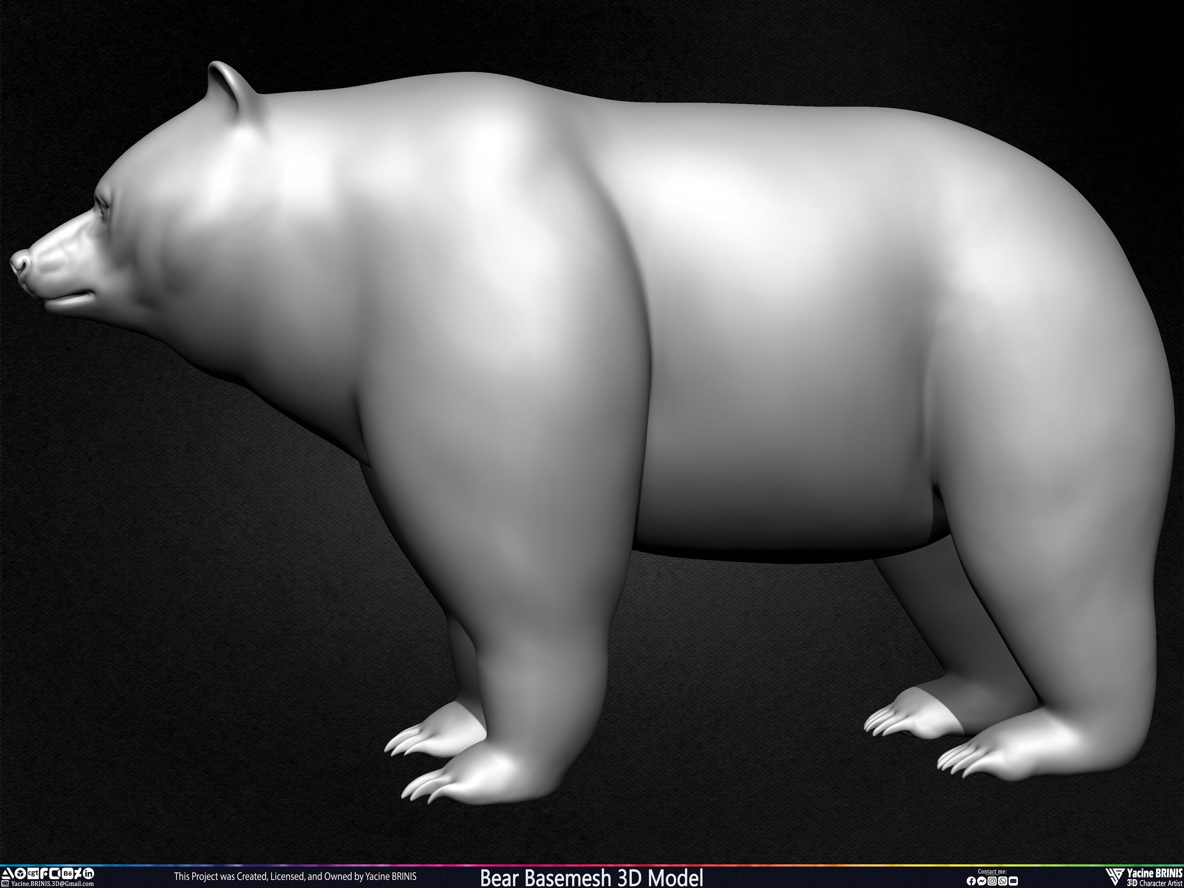 Bear Basemesh 3D Model Sculpted by Yacine BRINIS Set 015