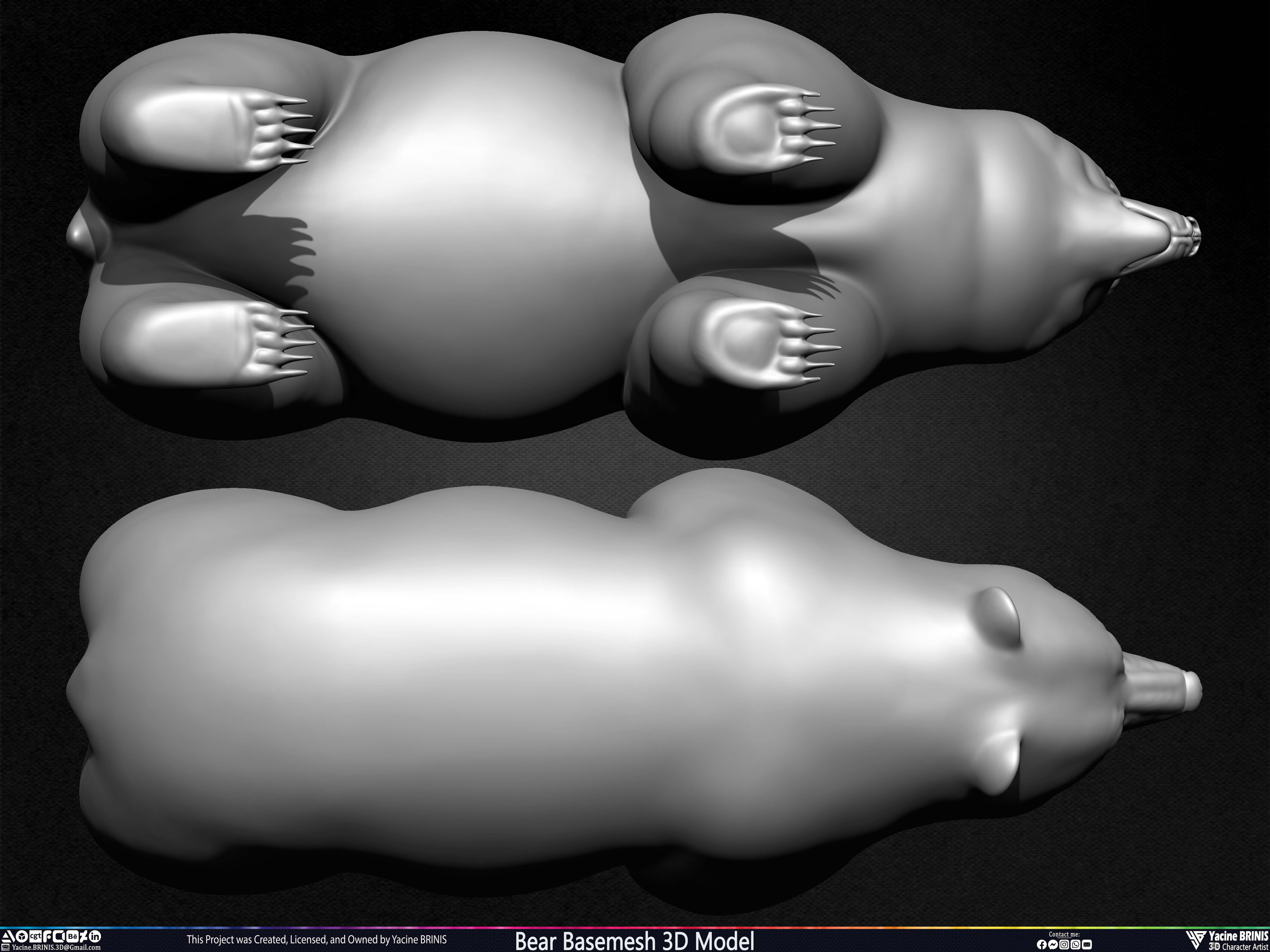 Bear Basemesh 3D Model Sculpted by Yacine BRINIS Set 019