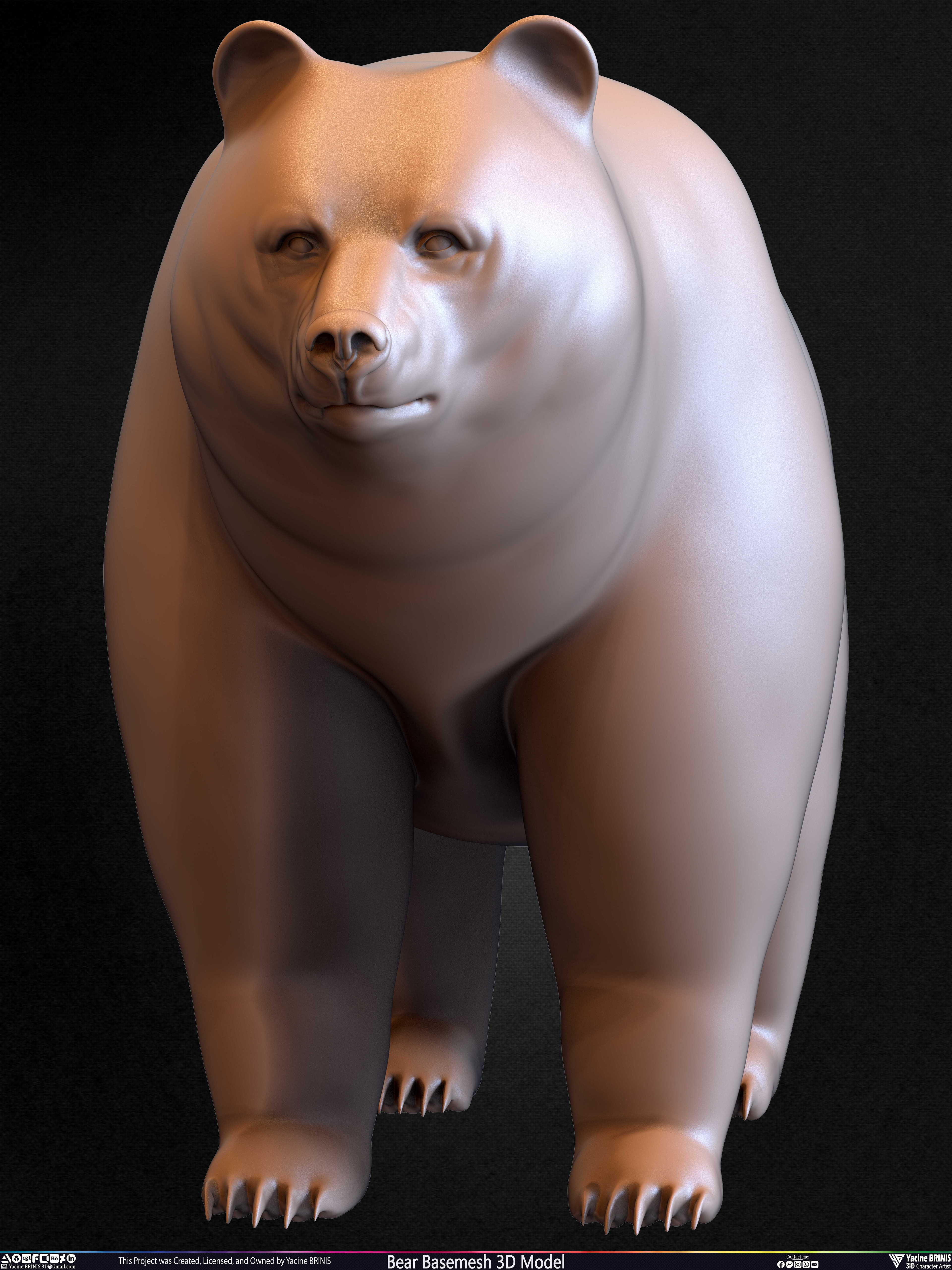 Bear Basemesh 3D Model Sculpted by Yacine BRINIS Set 022