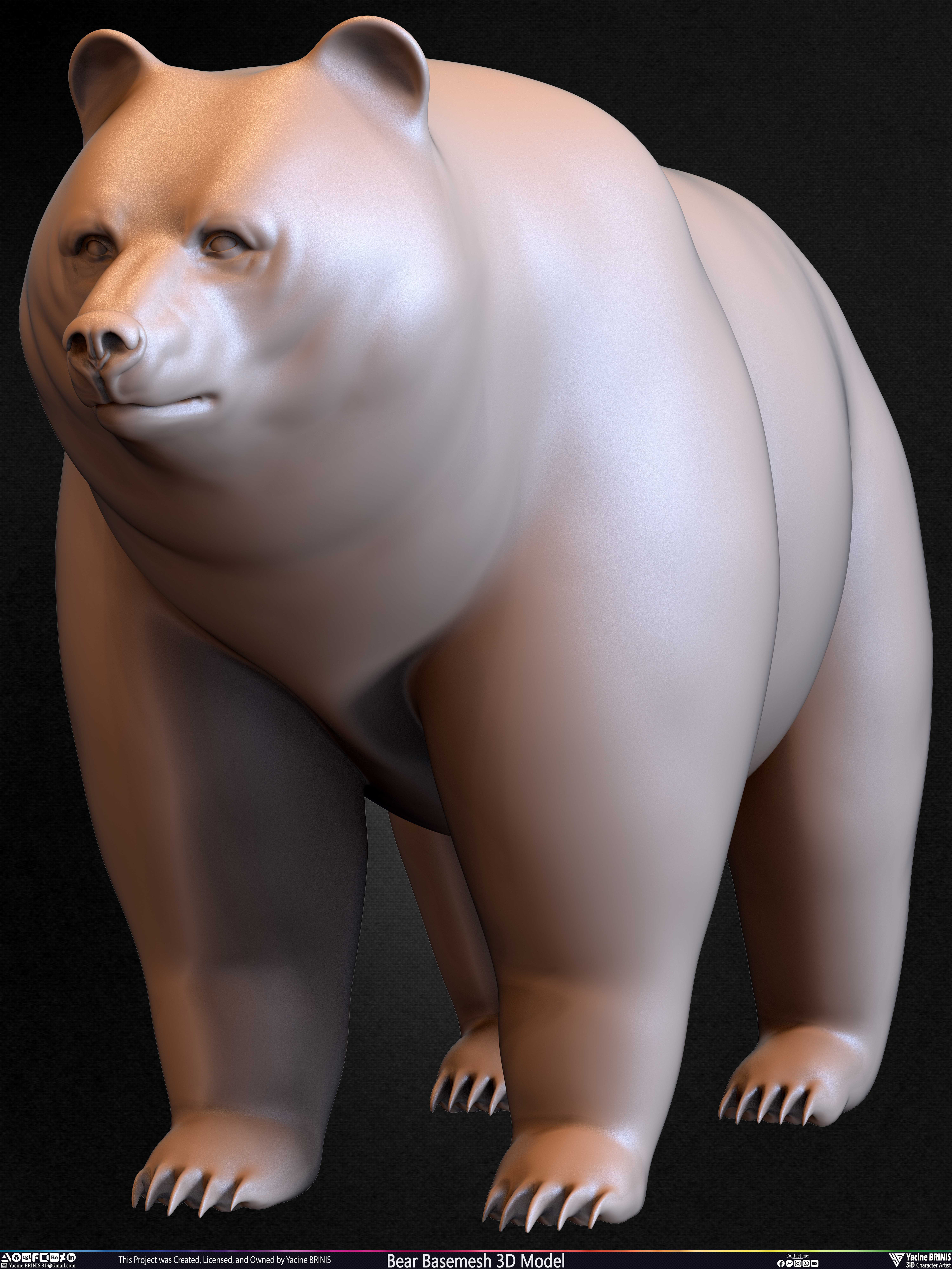 Bear Basemesh 3D Model Sculpted by Yacine BRINIS Set 023