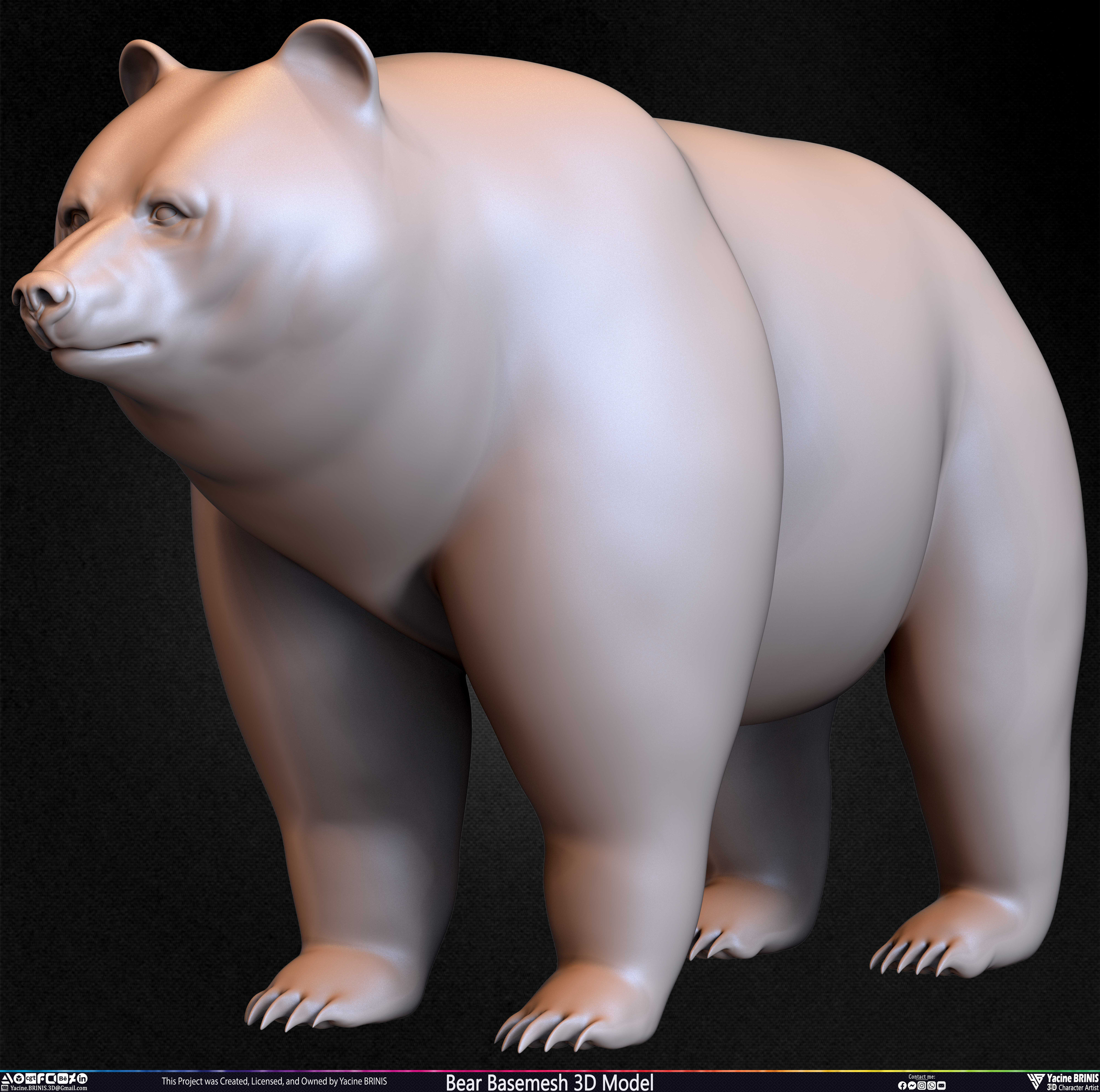 Bear Basemesh 3D Model Sculpted by Yacine BRINIS Set 024