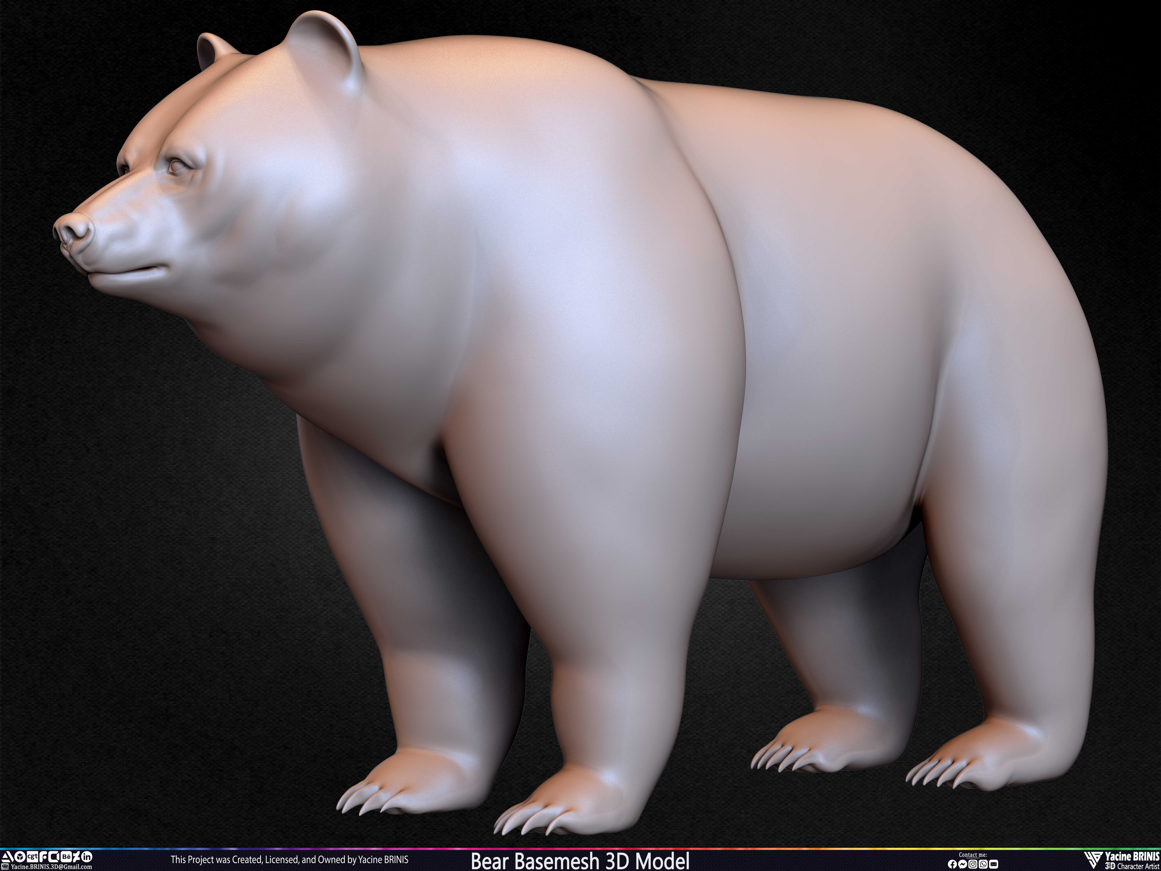 Bear Basemesh 3D Model Sculpted by Yacine BRINIS Set 025