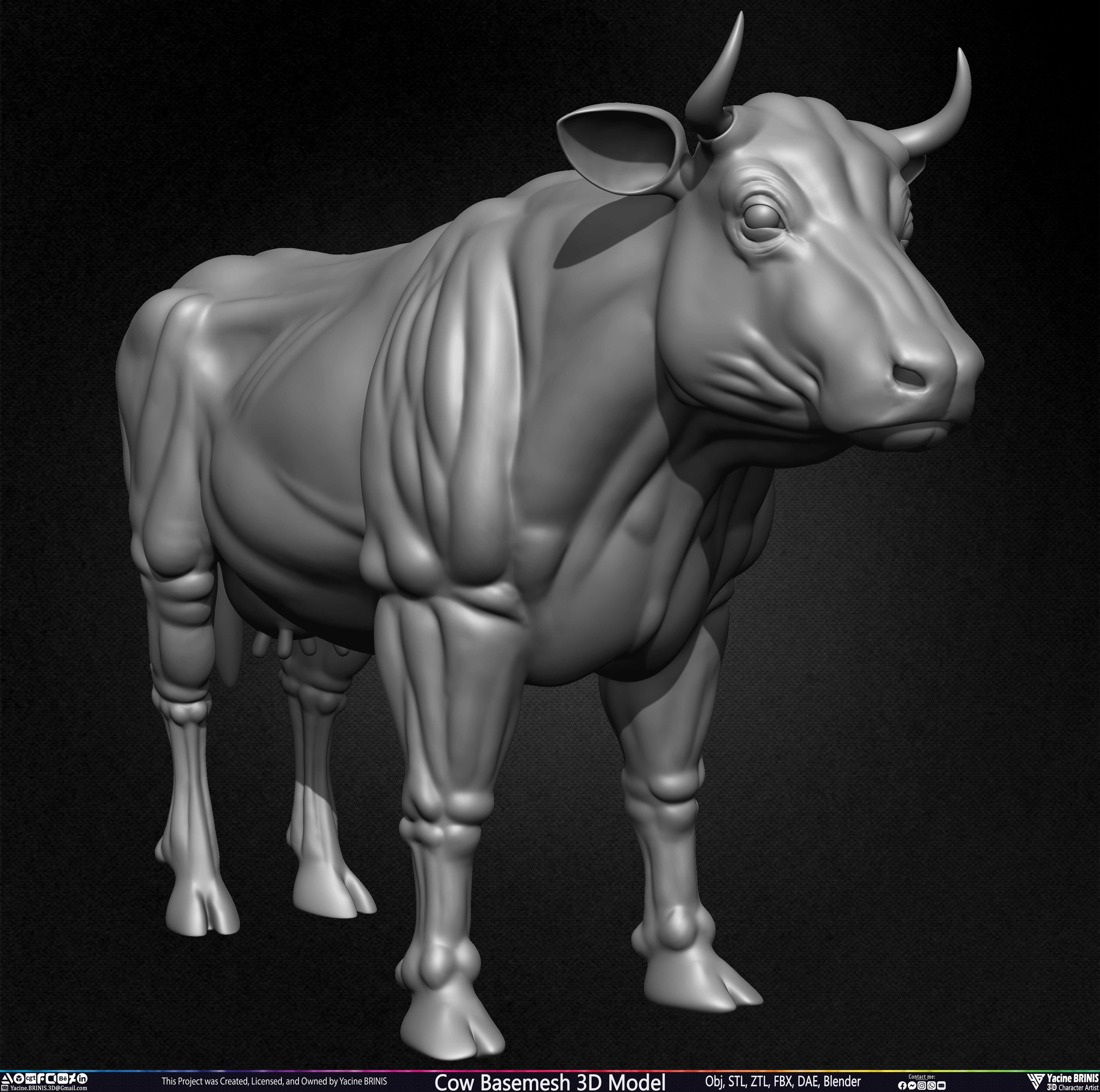 Cow Basemesh 3D Model Sculpted By Yacine BRINIS Set 001