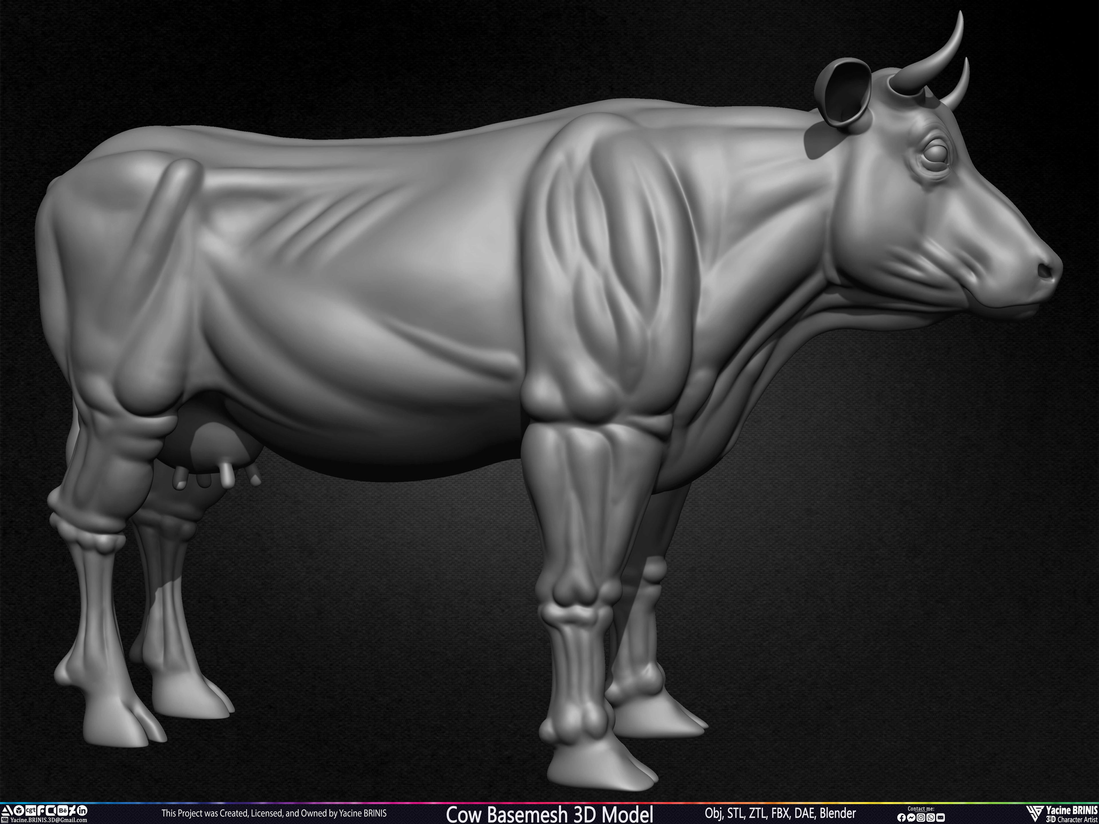 Cow Basemesh 3D Model Sculpted By Yacine BRINIS Set 003
