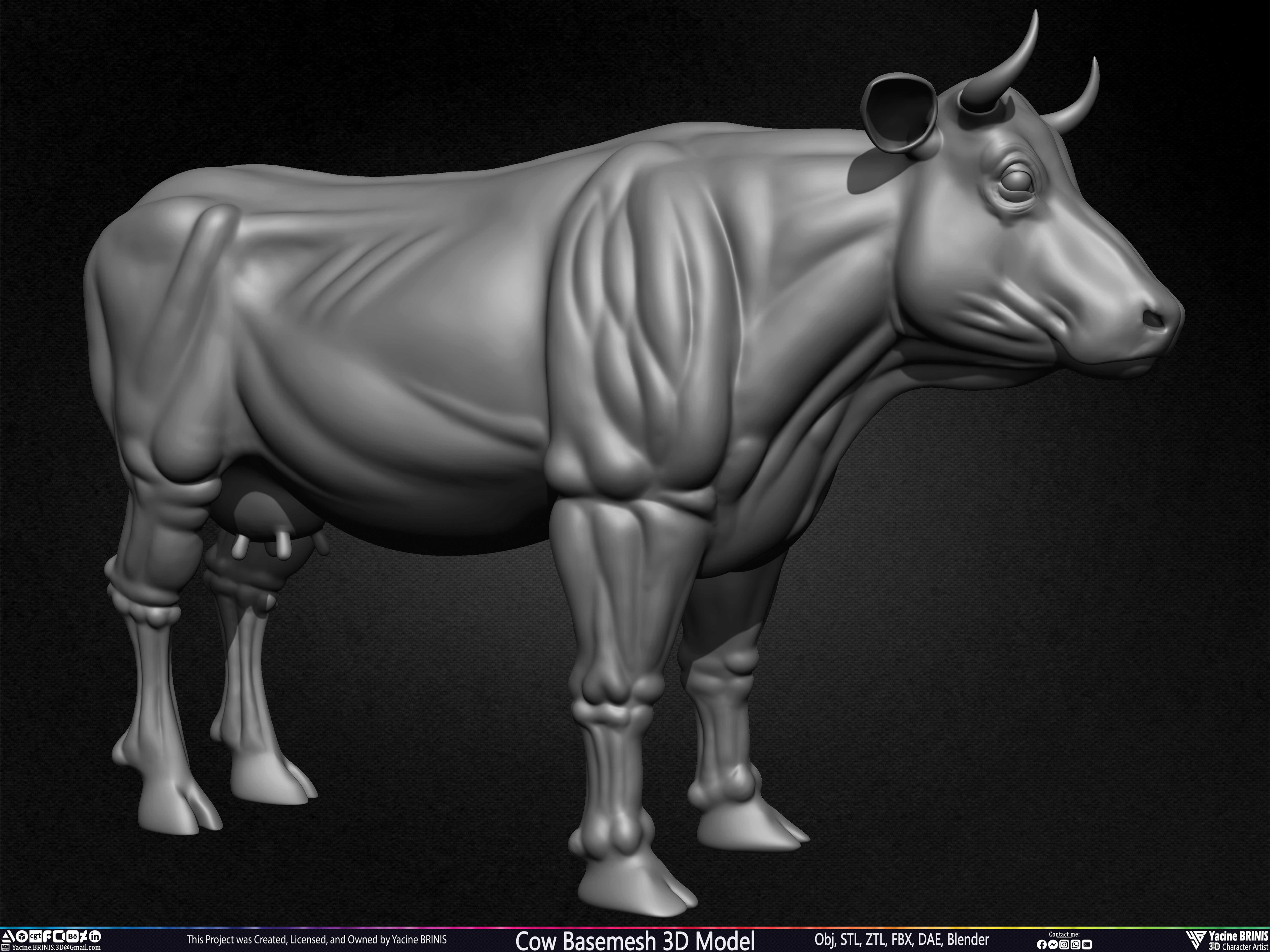 Cow Basemesh 3D Model Sculpted By Yacine BRINIS Set 004