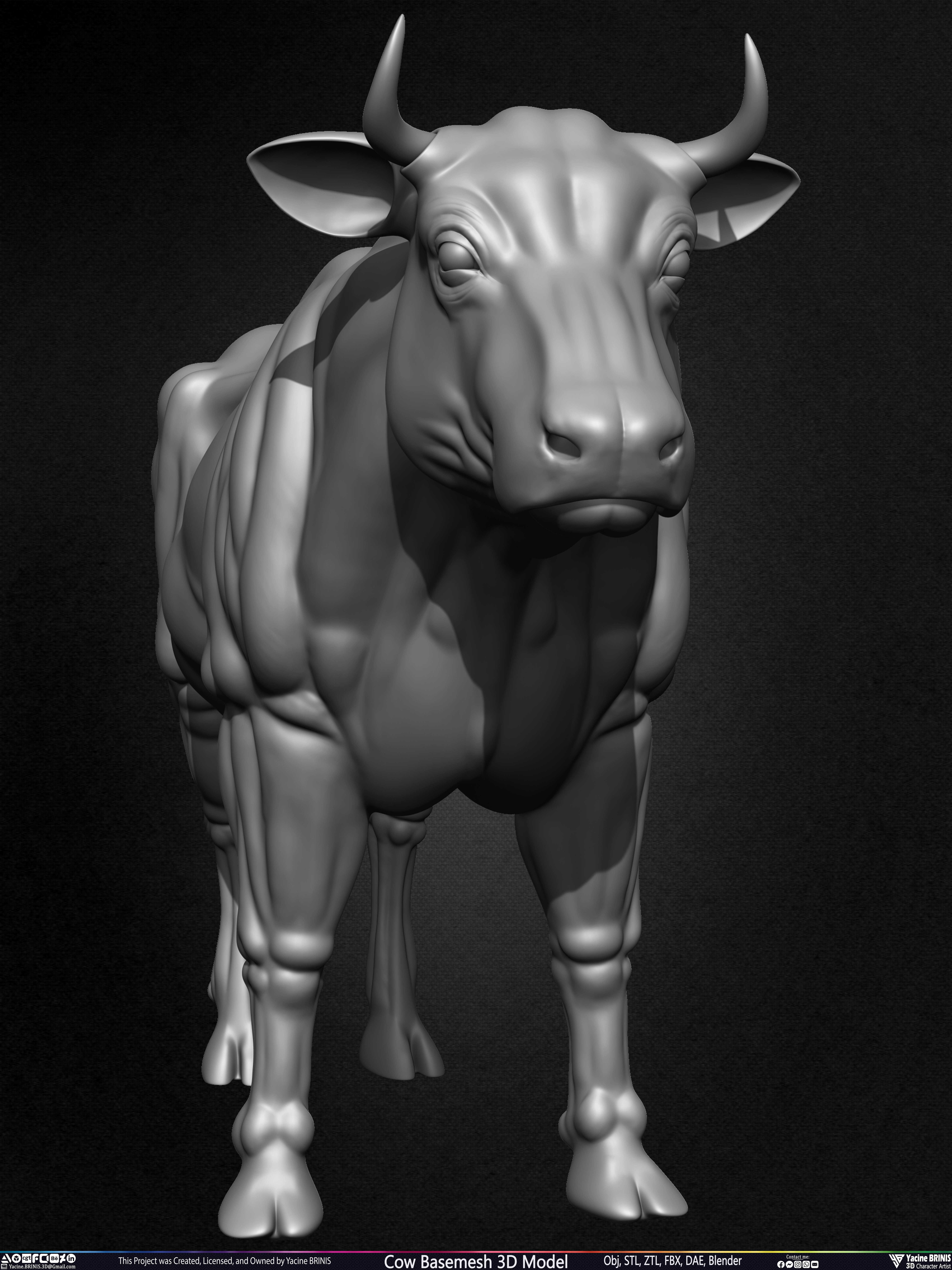 Cow Basemesh 3D Model Sculpted By Yacine BRINIS Set 007