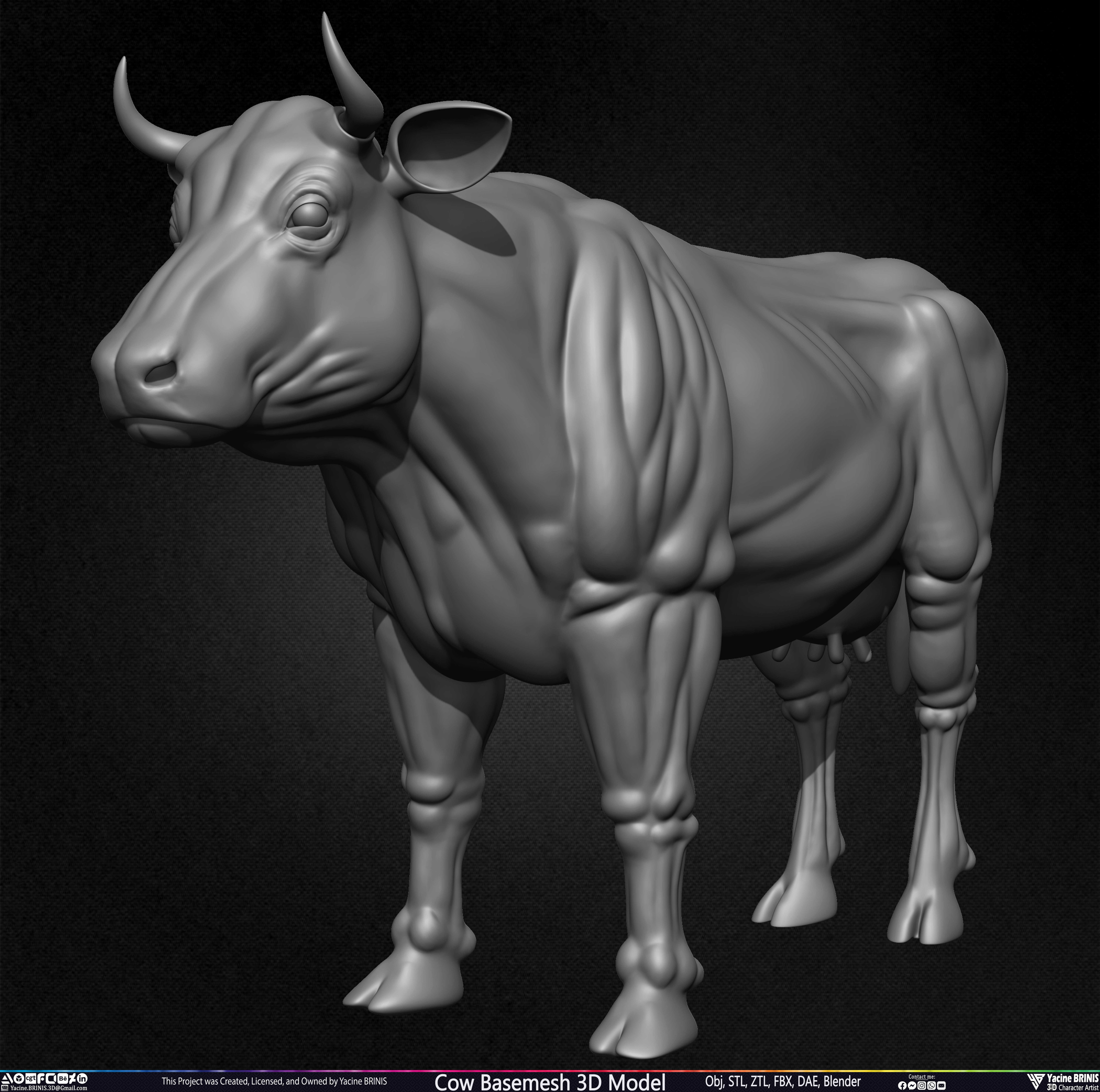 Cow Basemesh 3D Model Sculpted By Yacine BRINIS Set 010