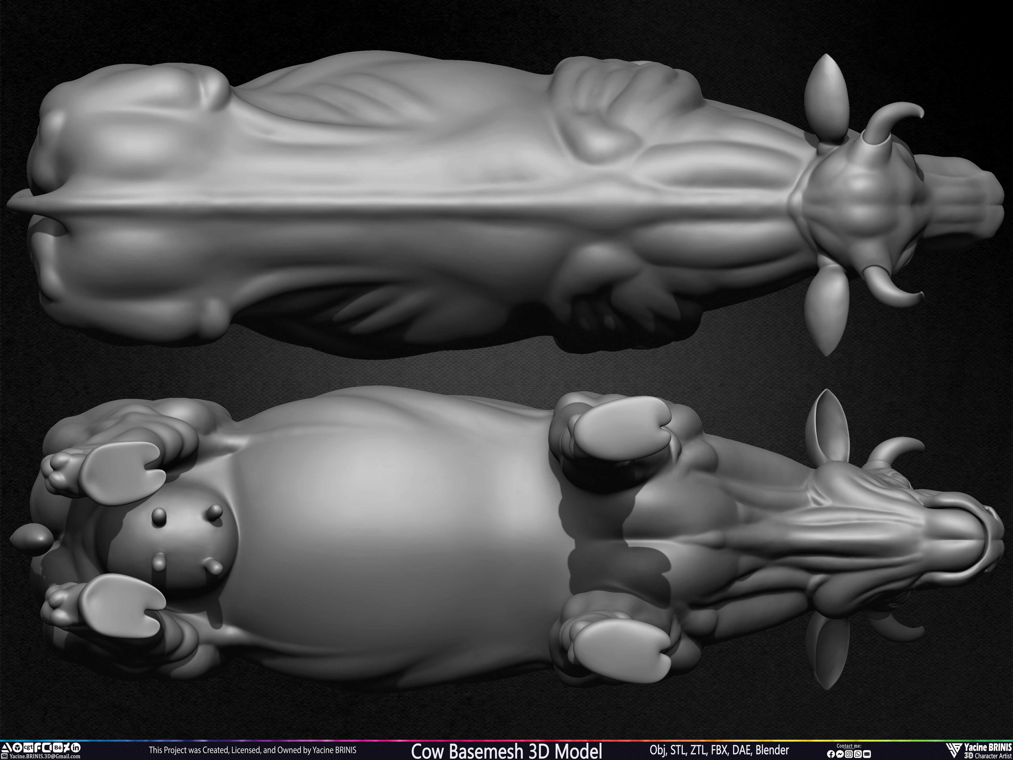 Cow Basemesh 3D Model Sculpted By Yacine BRINIS Set 012