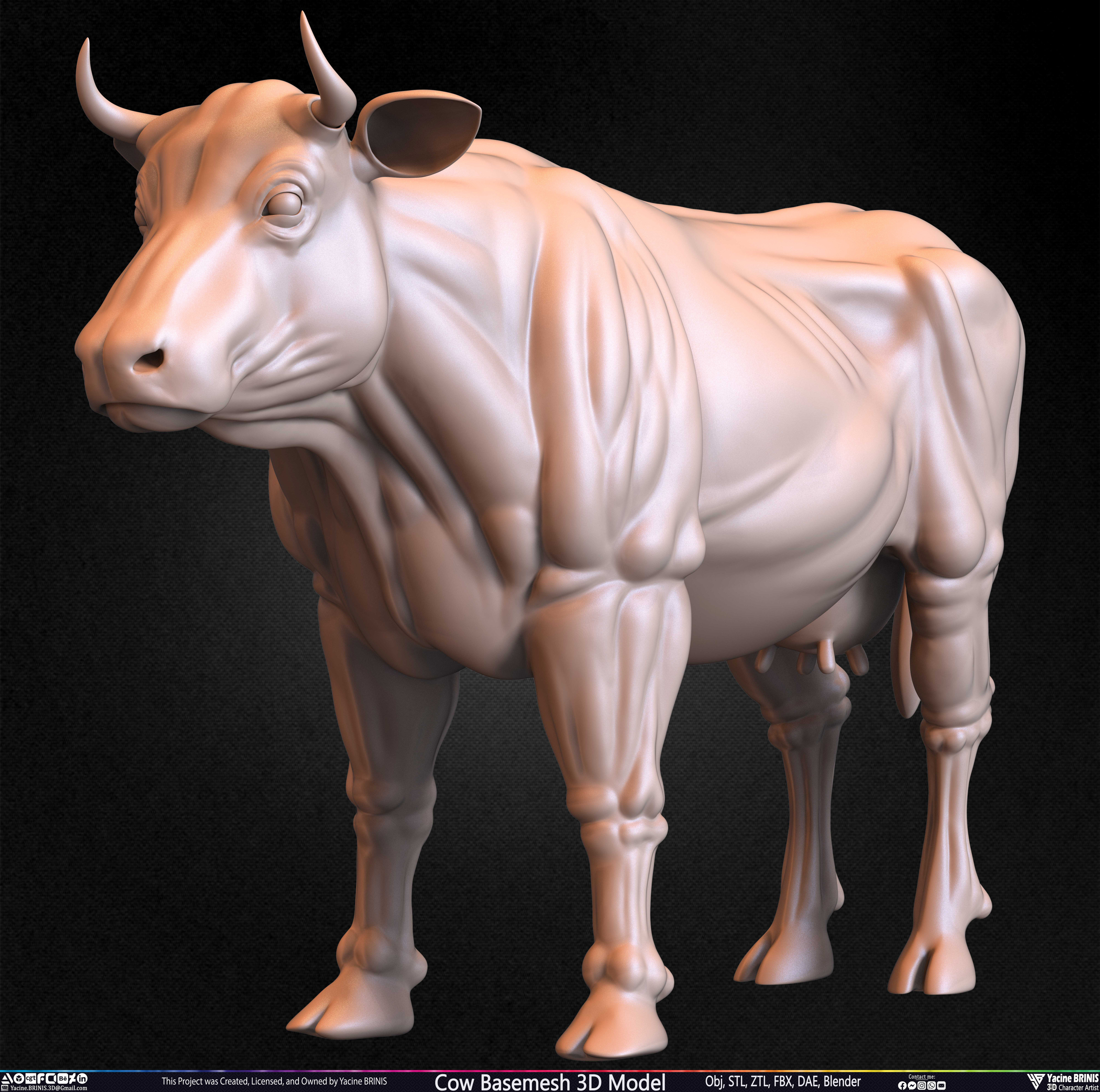 Cow Basemesh 3D Model Sculpted By Yacine BRINIS Set 016