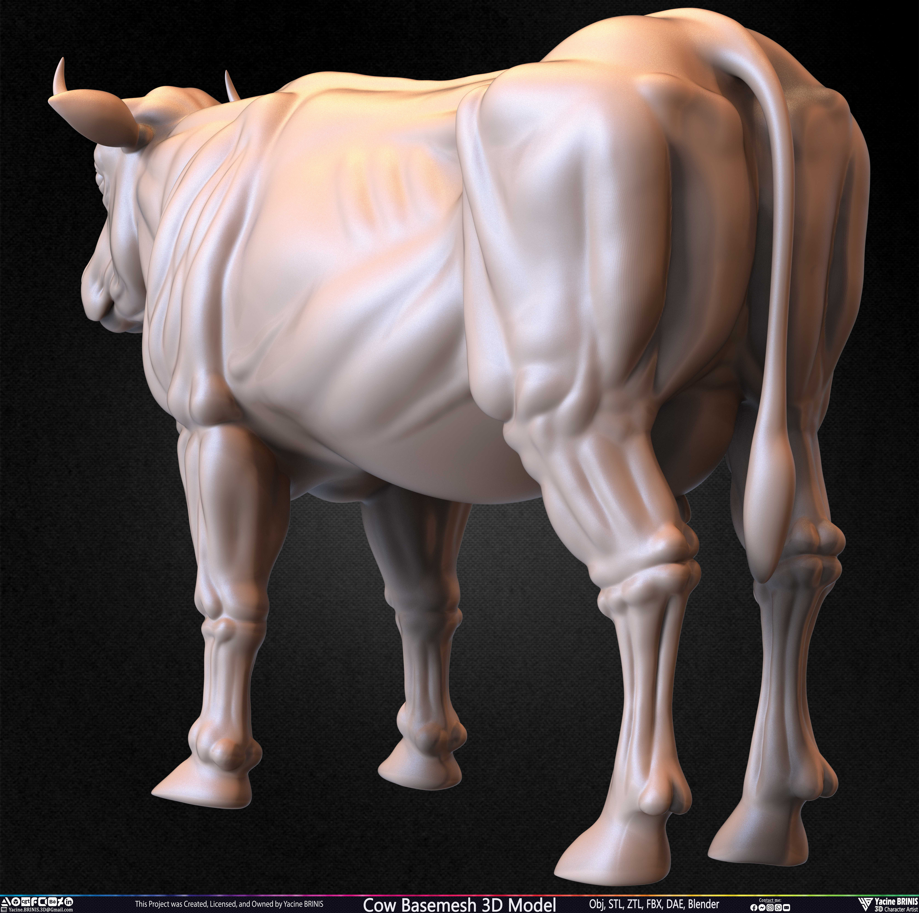 Cow Basemesh 3D Model Sculpted By Yacine BRINIS Set 018