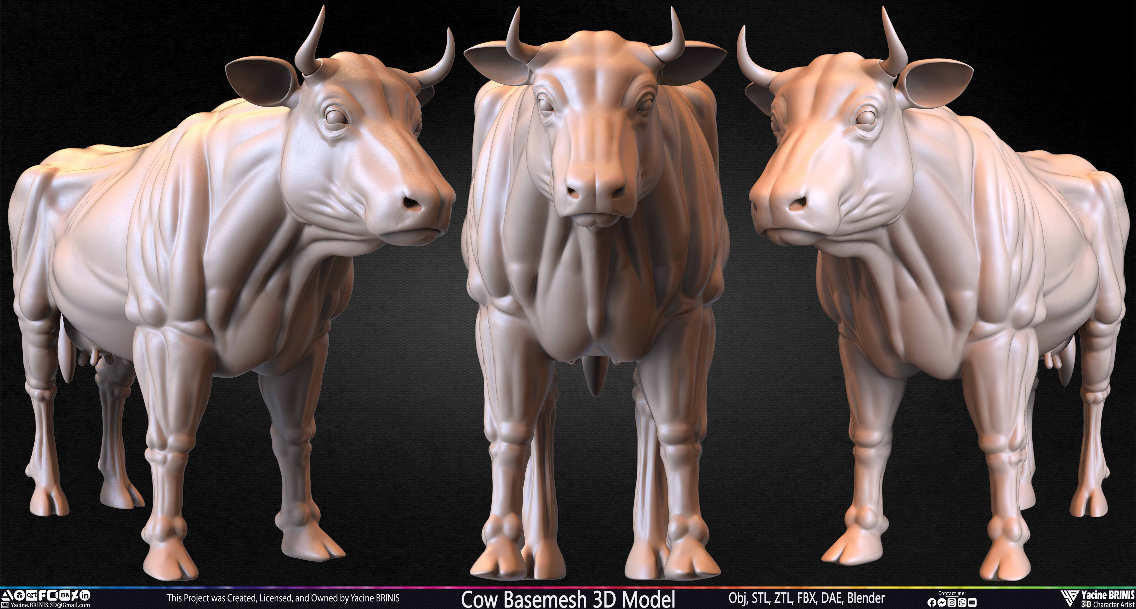 Cow Basemesh 3D Model Sculpted By Yacine BRINIS Set 020