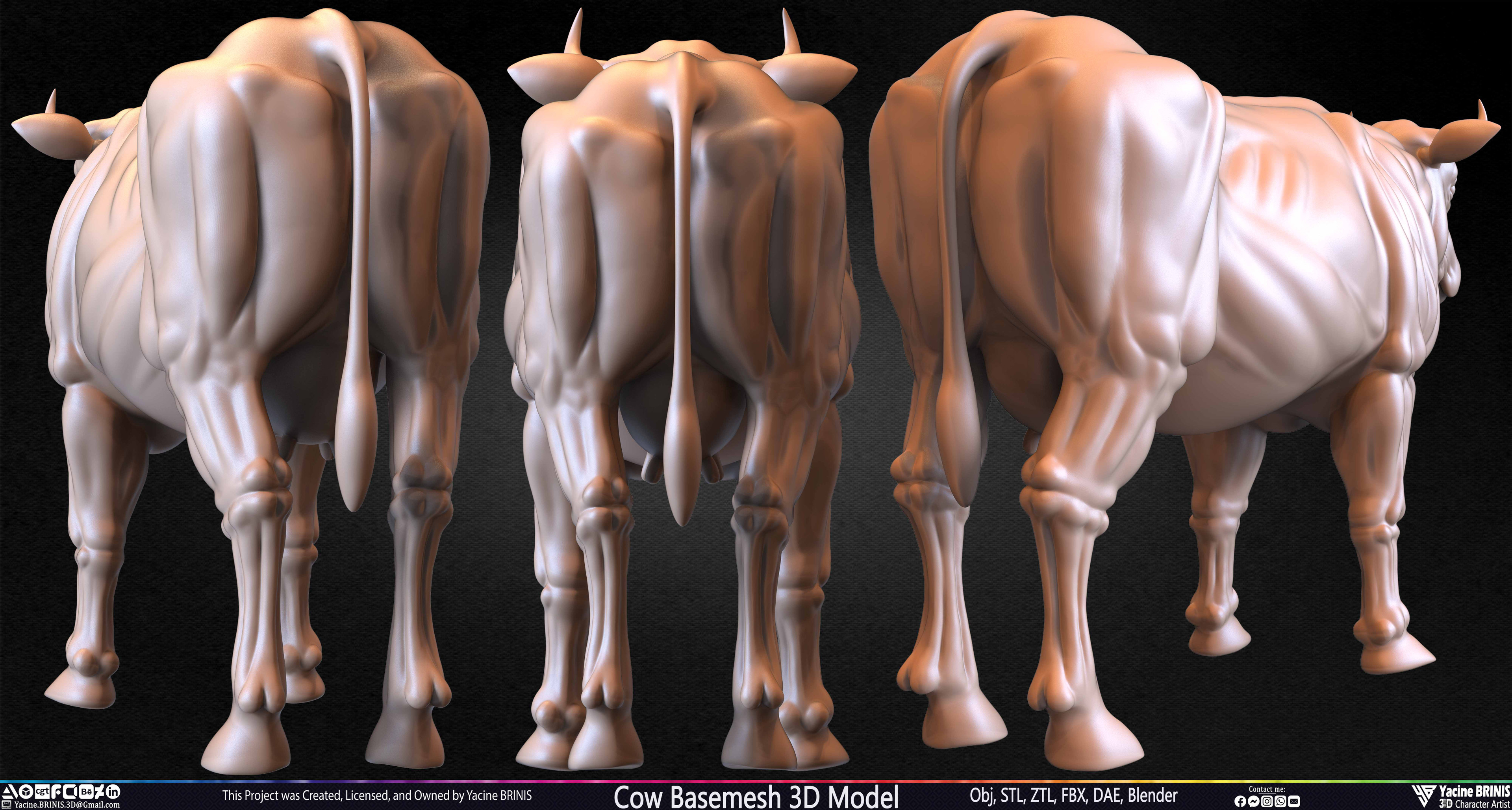Cow Basemesh 3D Model Sculpted By Yacine BRINIS Set 021