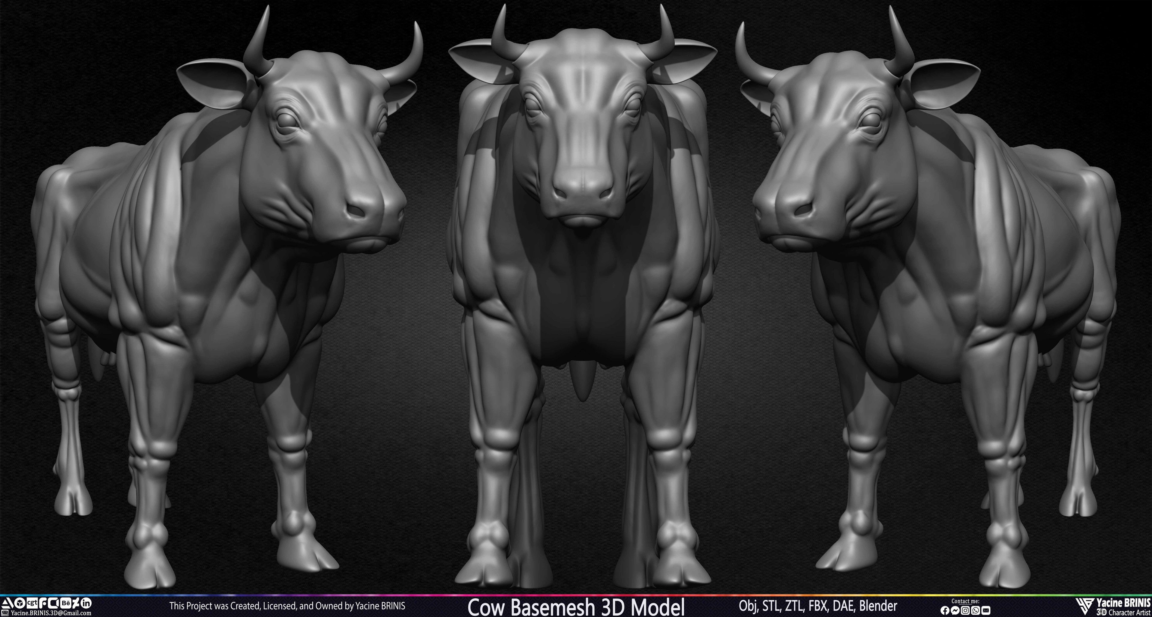 Cow Basemesh 3D Model Sculpted By Yacine BRINIS Set 022