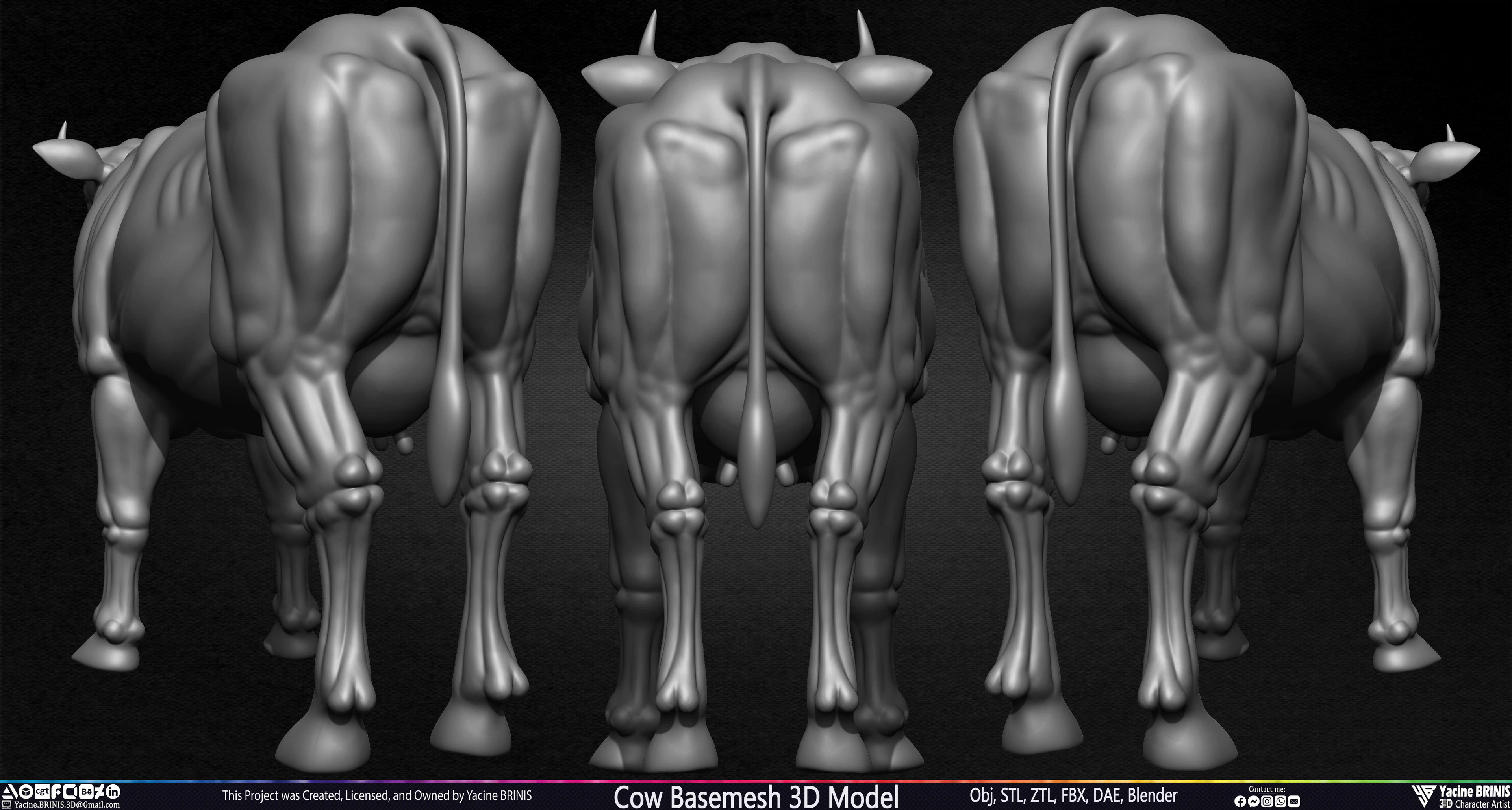 Cow Basemesh 3D Model Sculpted By Yacine BRINIS Set 023
