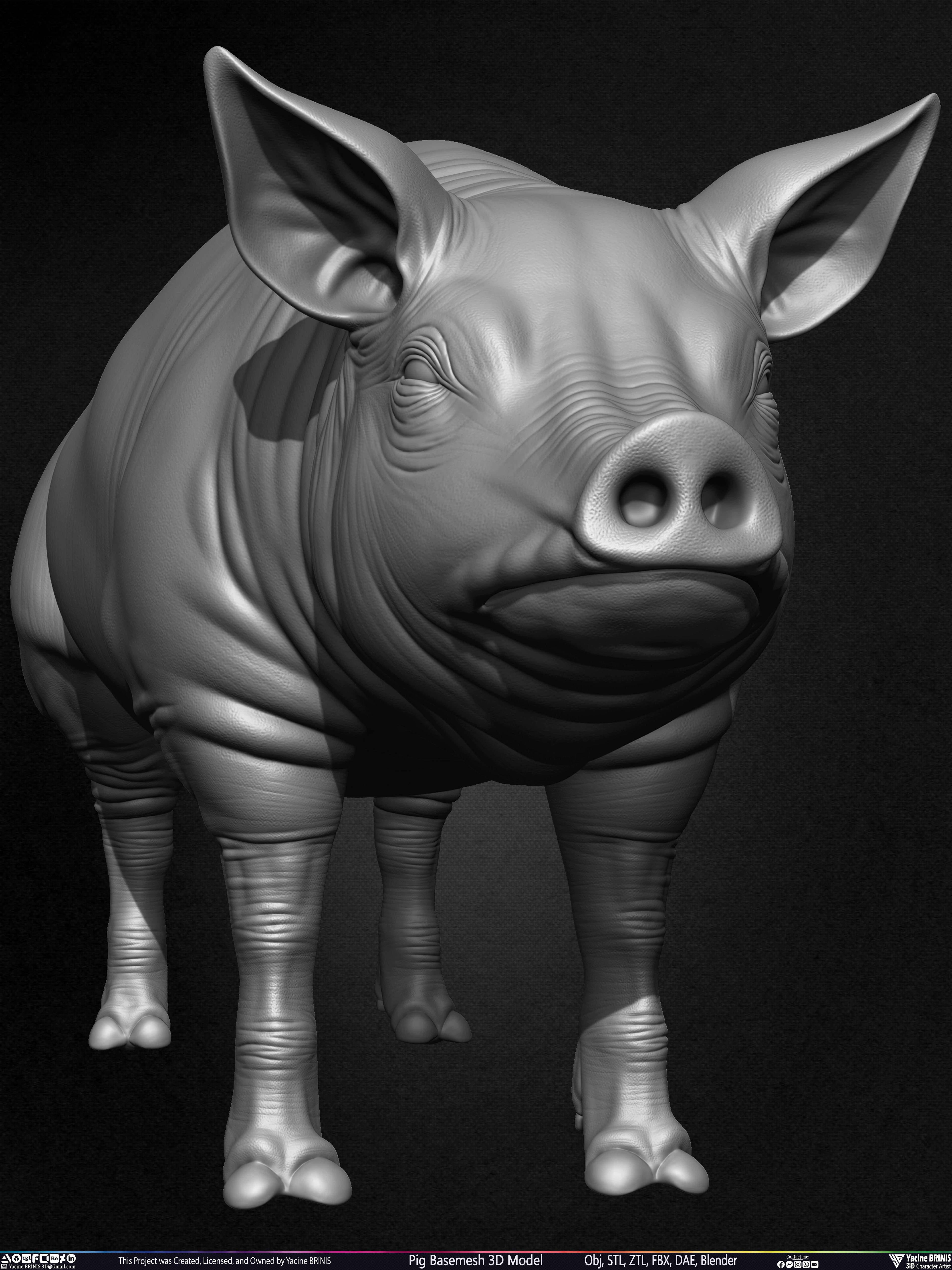 Pig Basemesh 3D Model Sculpted by Yacine BRINIS Set 006