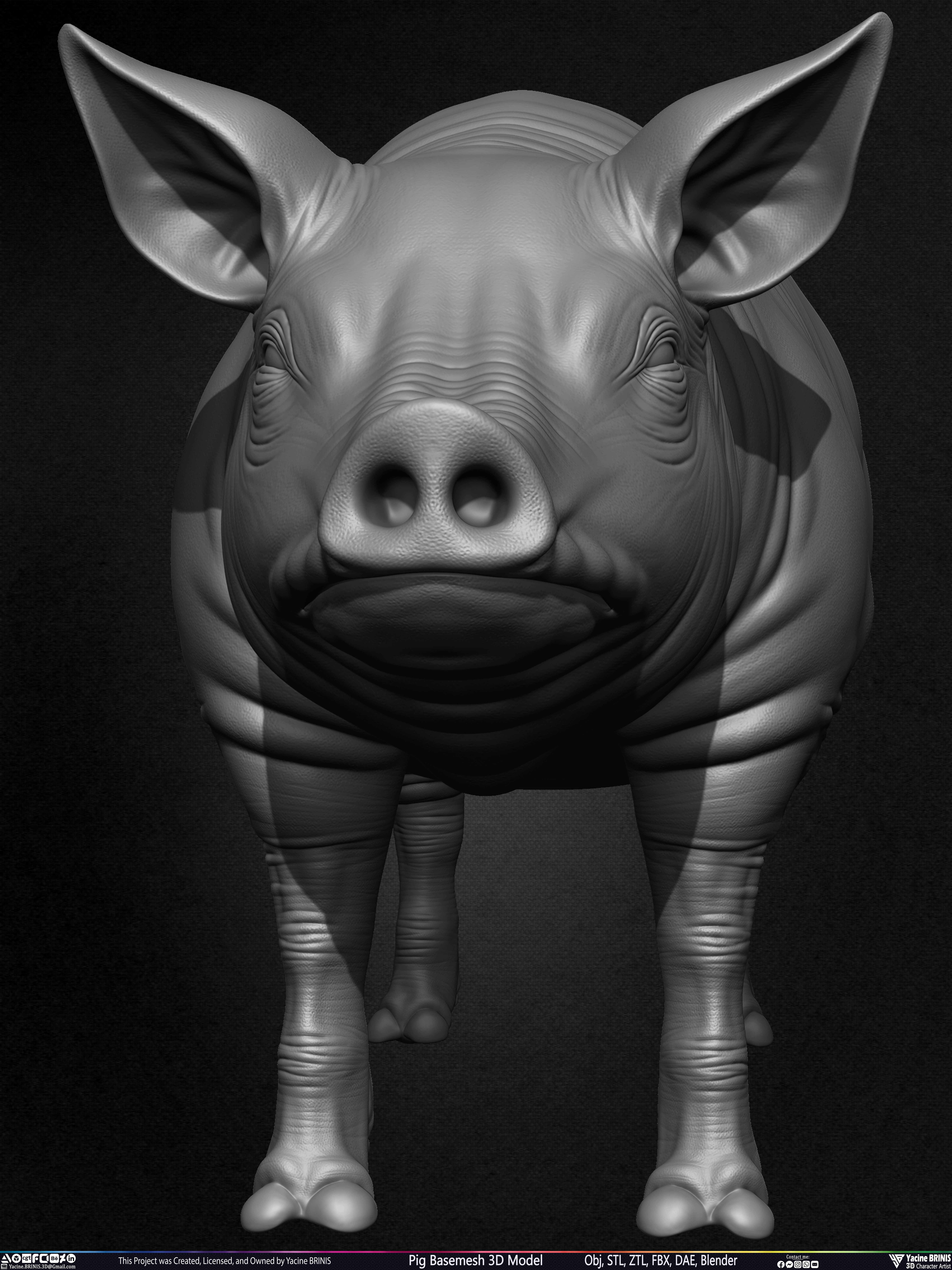 Pig Basemesh 3D Model Sculpted by Yacine BRINIS Set 008