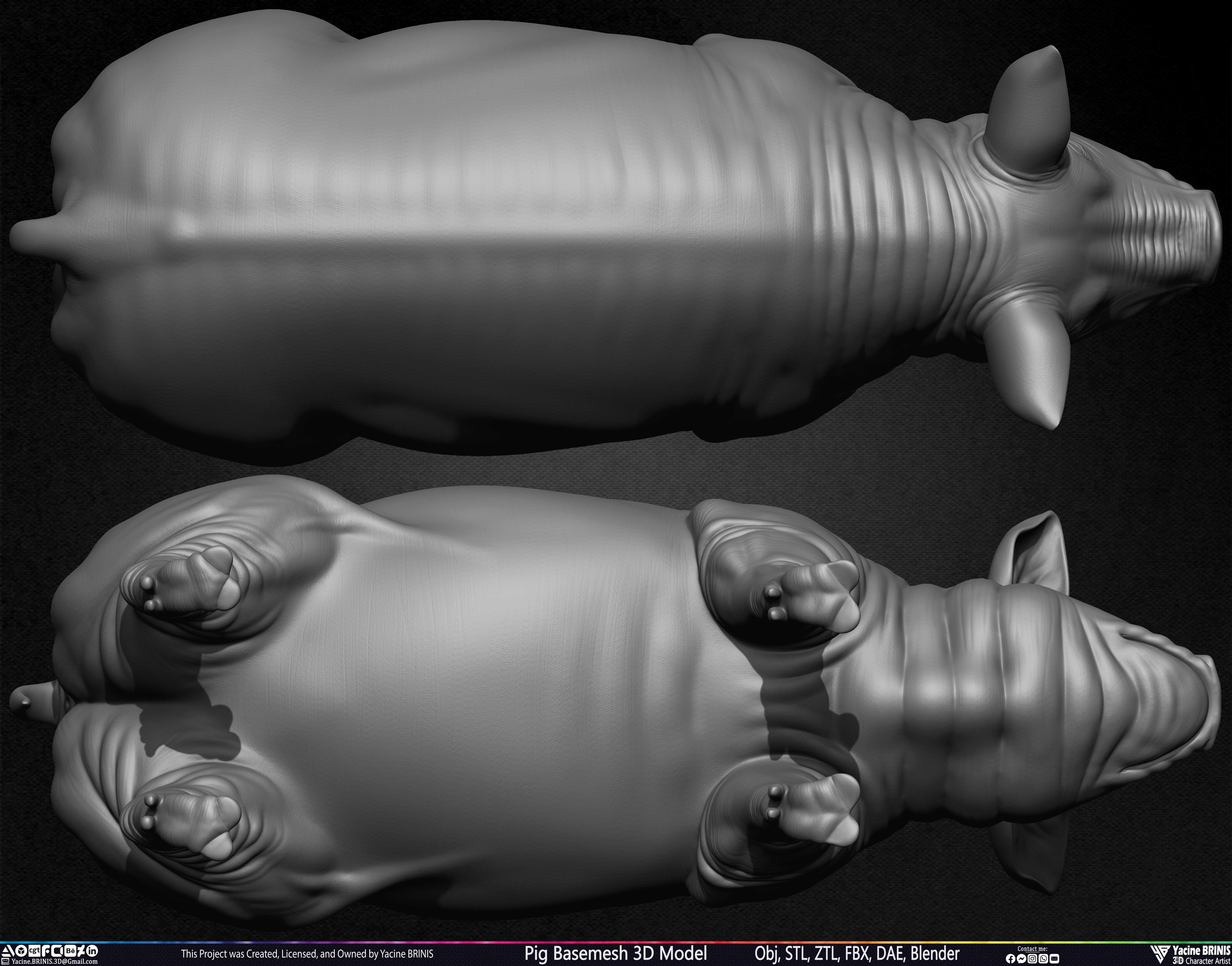 Pig Basemesh 3D Model Sculpted by Yacine BRINIS Set 019