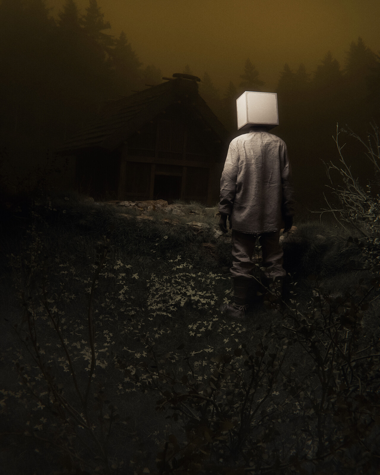 where they last saw her
