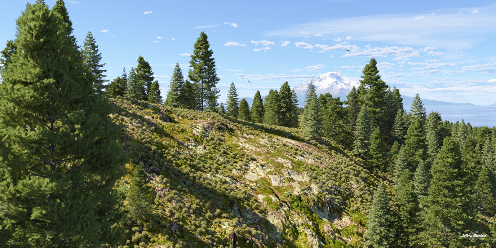 Hillside