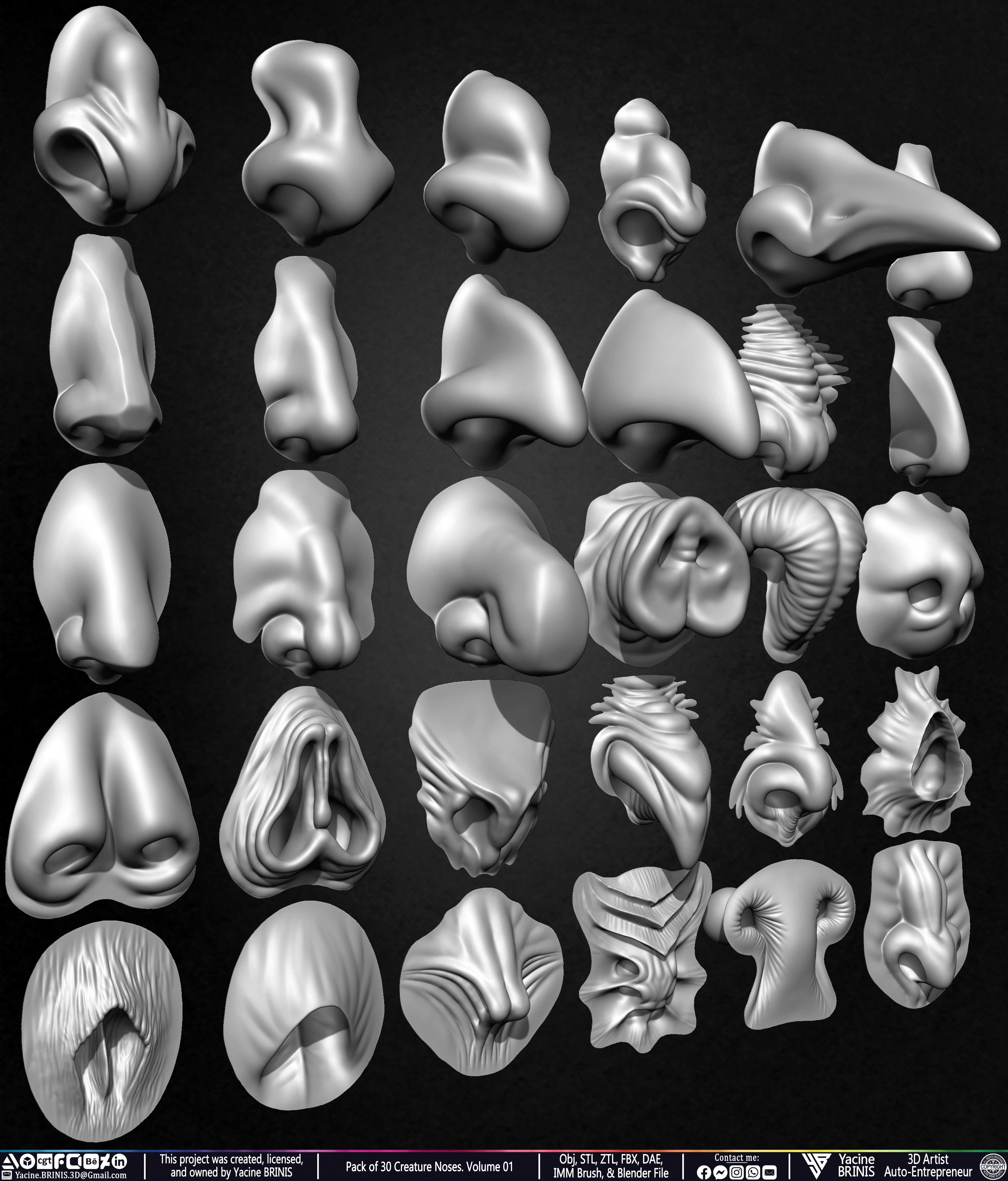Creature Nose VDM Brush Volume 01 Sculpted by Yacine BRINIS Set 003