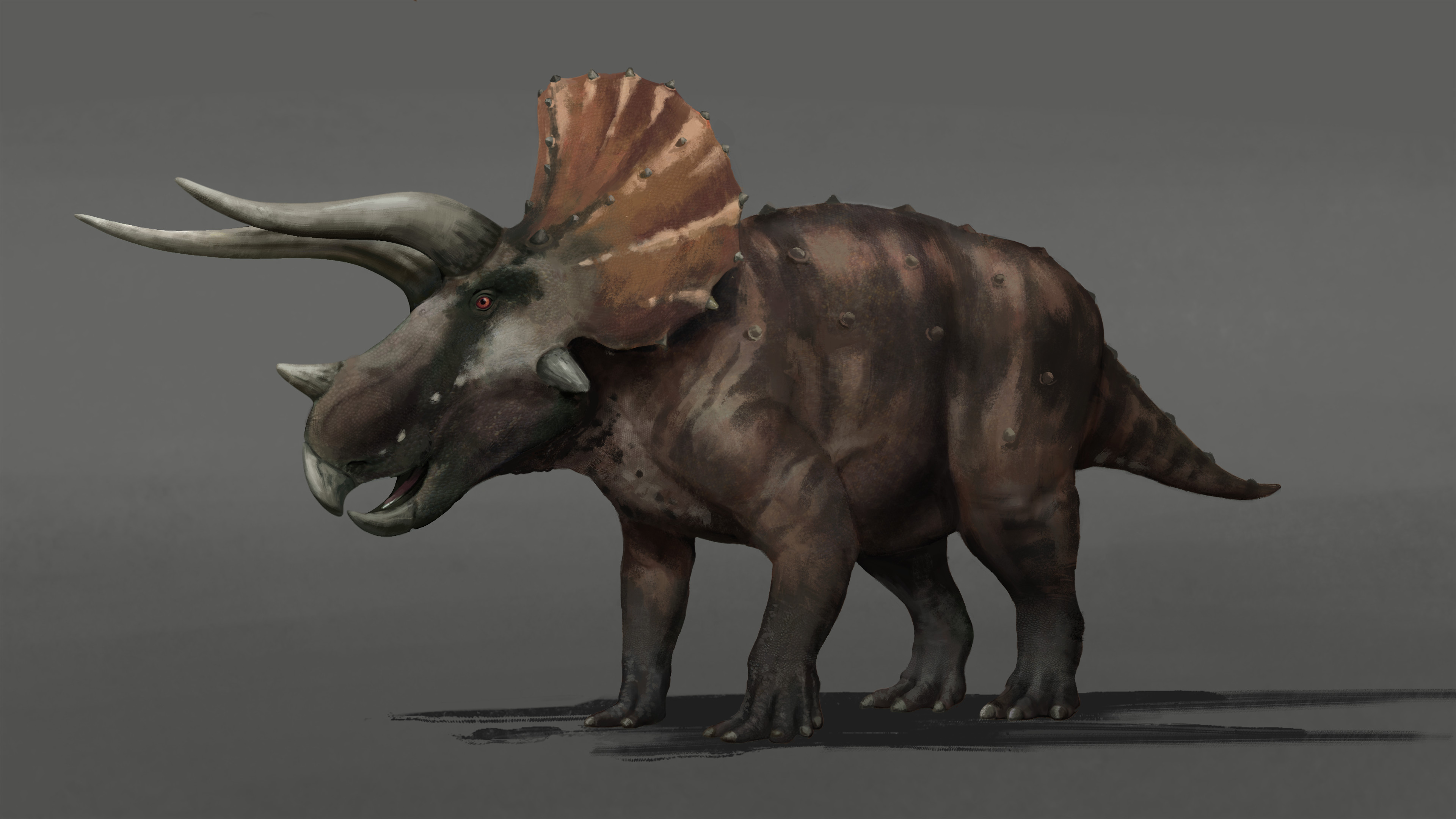 Triceratops skin