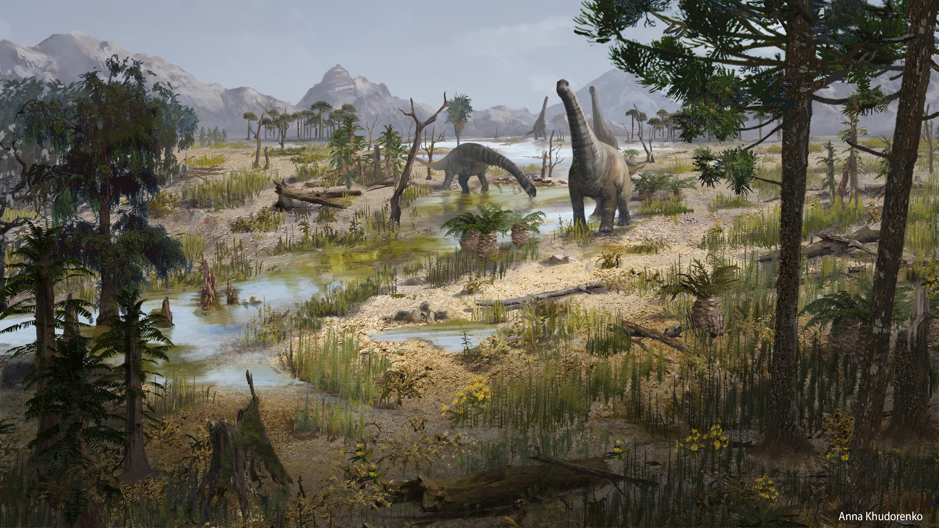 Biome: Valley (day).The goal was to show the variety and distribution of plants.