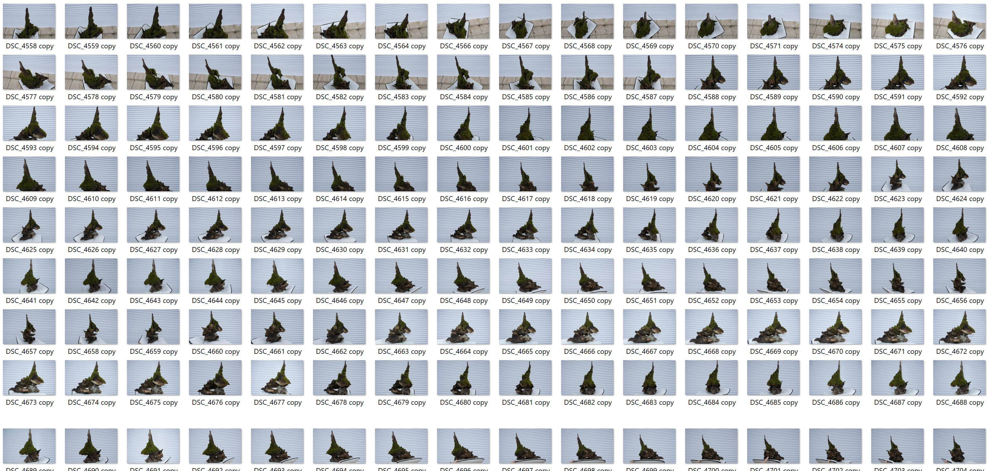 Photos for photogrammetry of the root