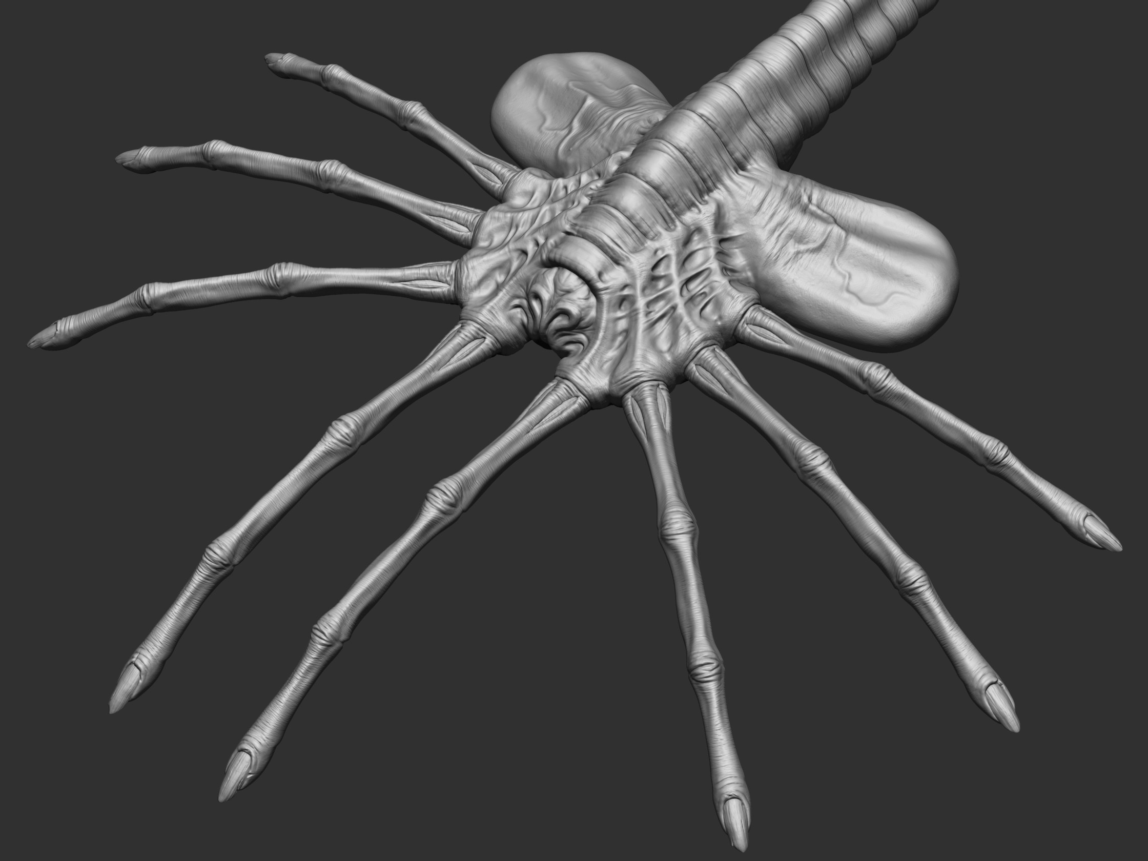 ZBrush Sculpt