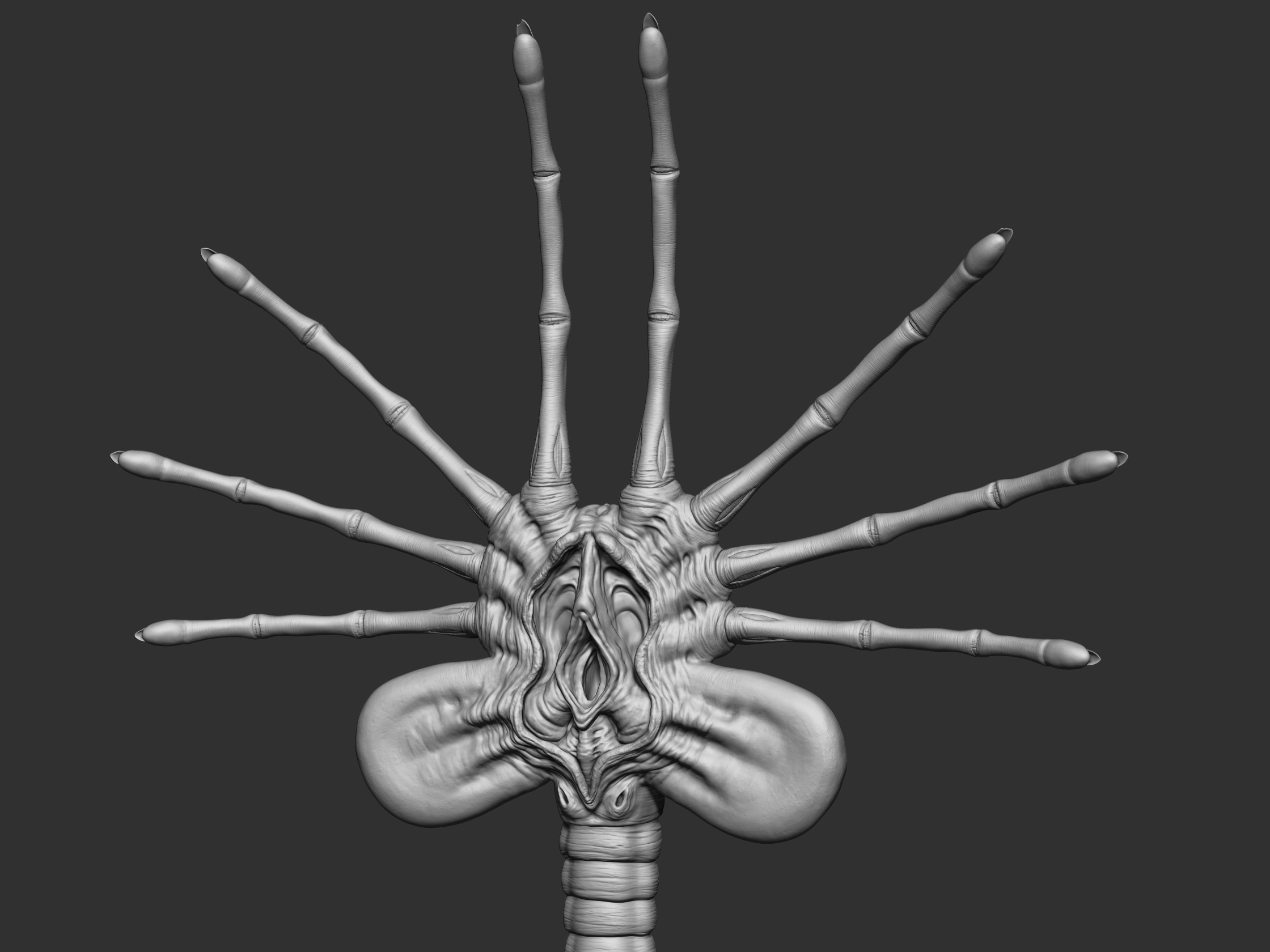 ZBrush Sculpt