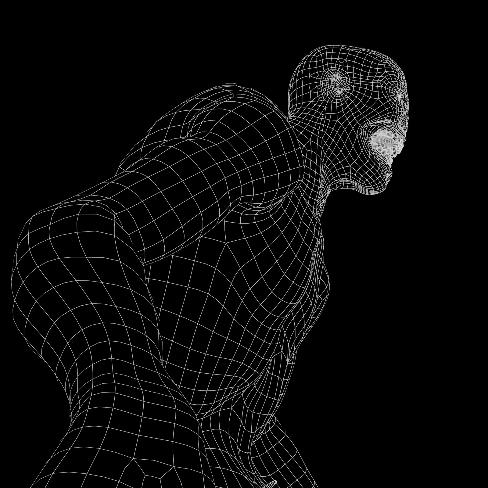 Marmoset render - wire