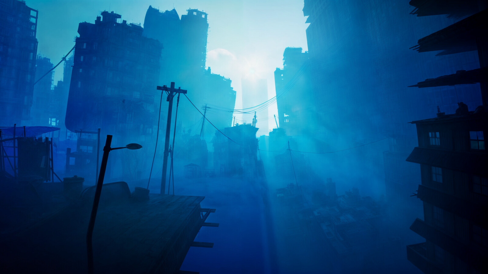Loiseau Project 