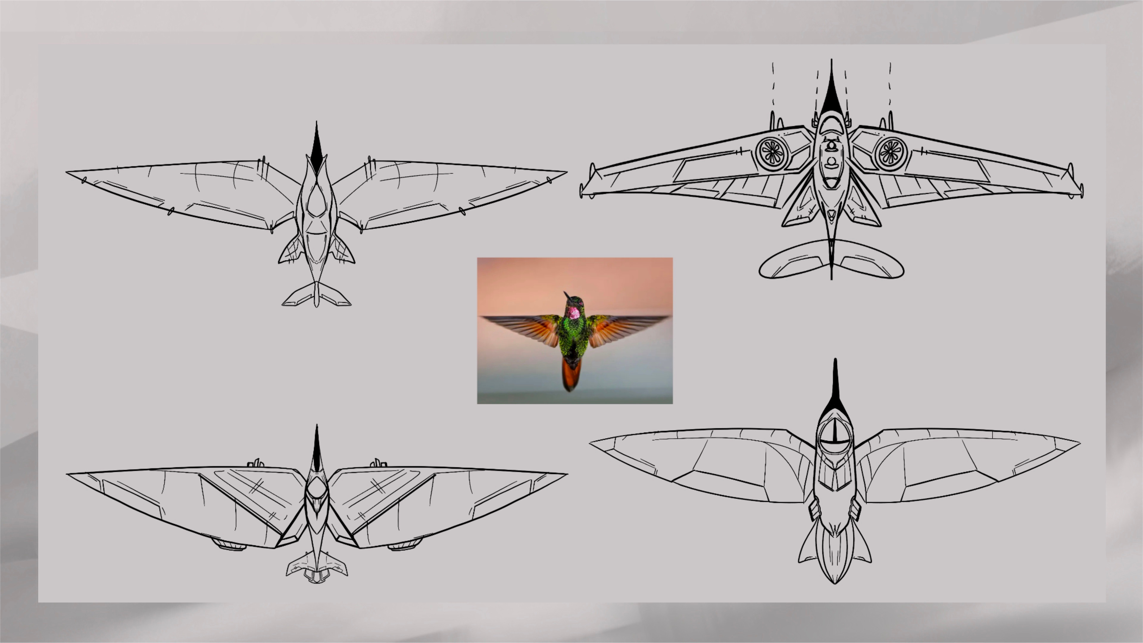 Start of BlueSky - using various animals as inspiration for the flying vehicle.