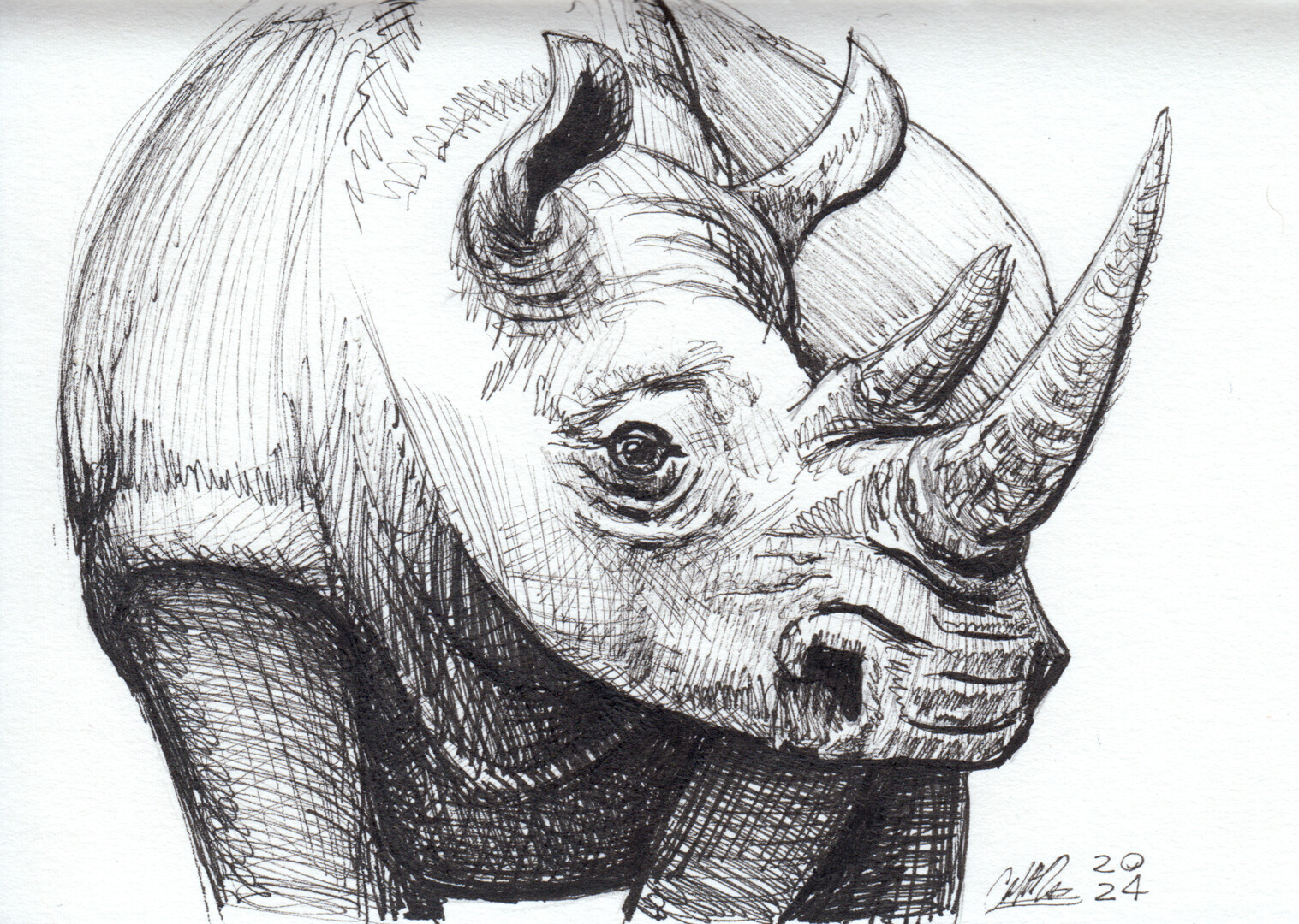 Day 21 - Rhinoceros