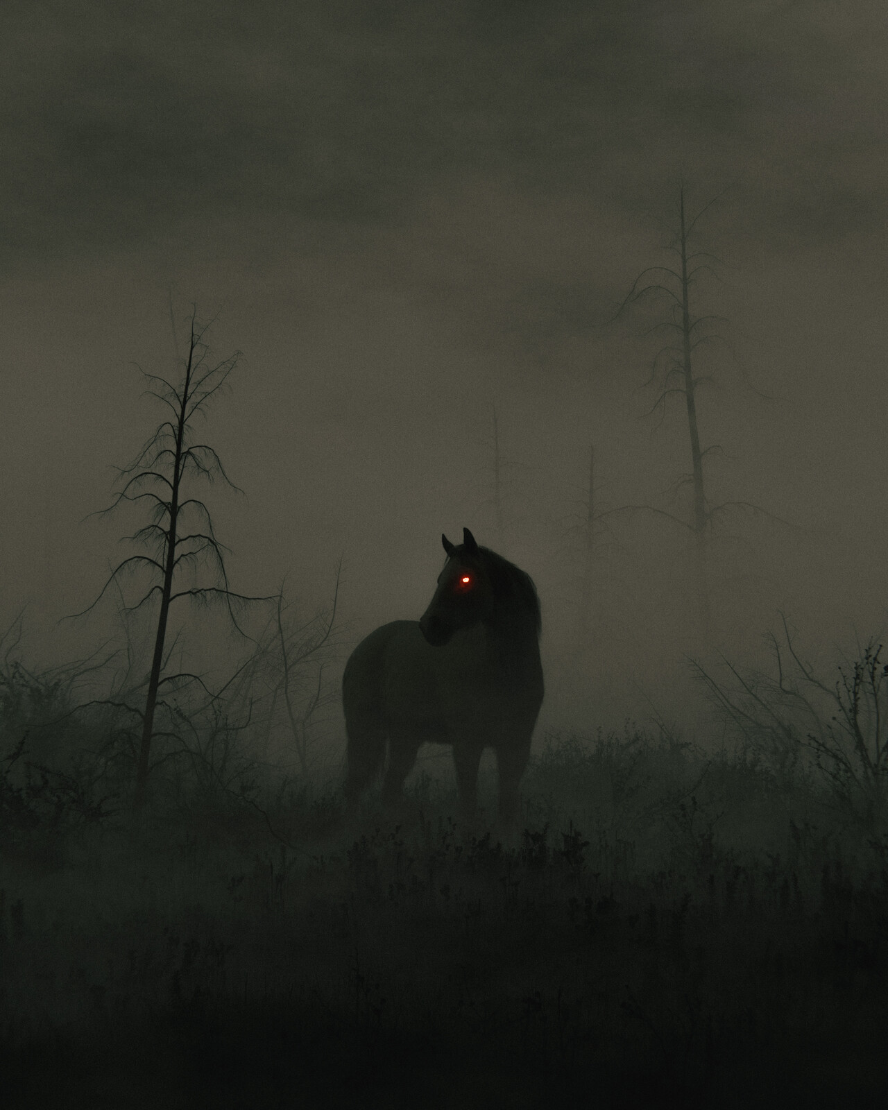 forgotten grounds