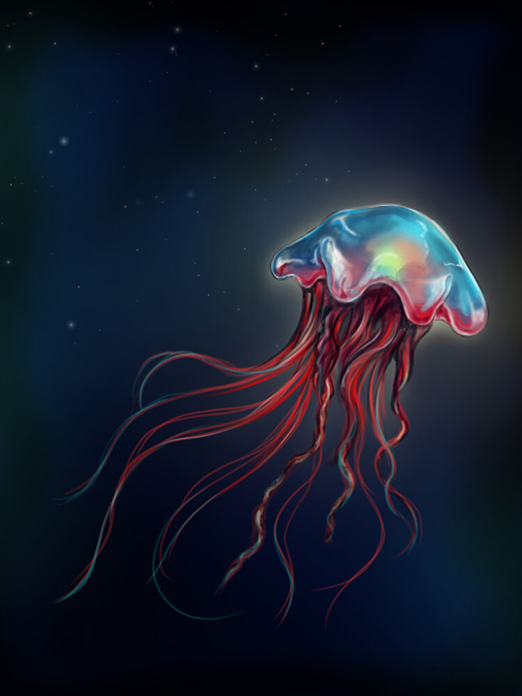 Jellyfish