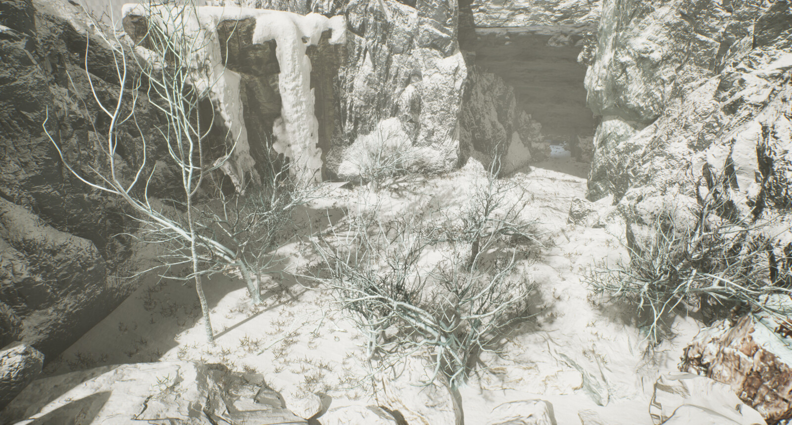 Outdoor winter forest