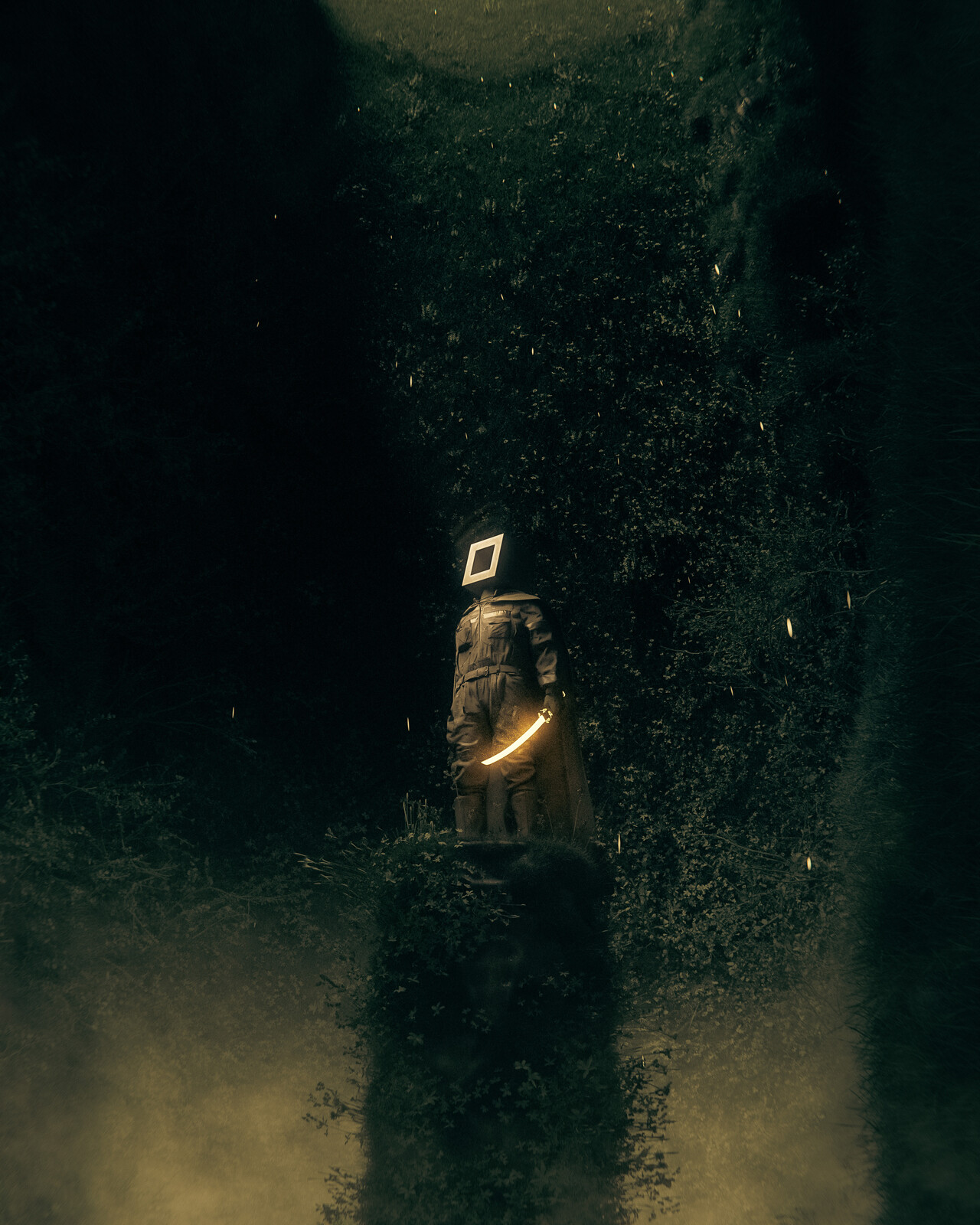 a pilgrim's quest