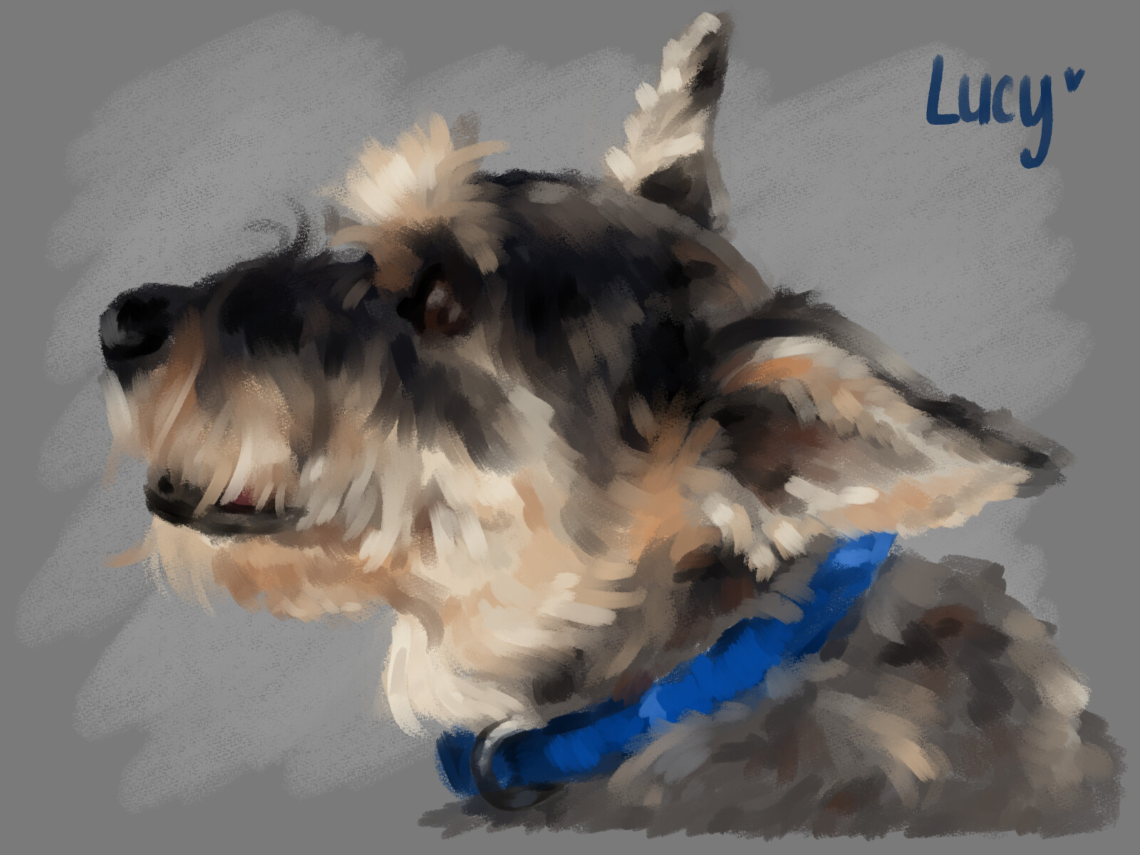 Lucy study