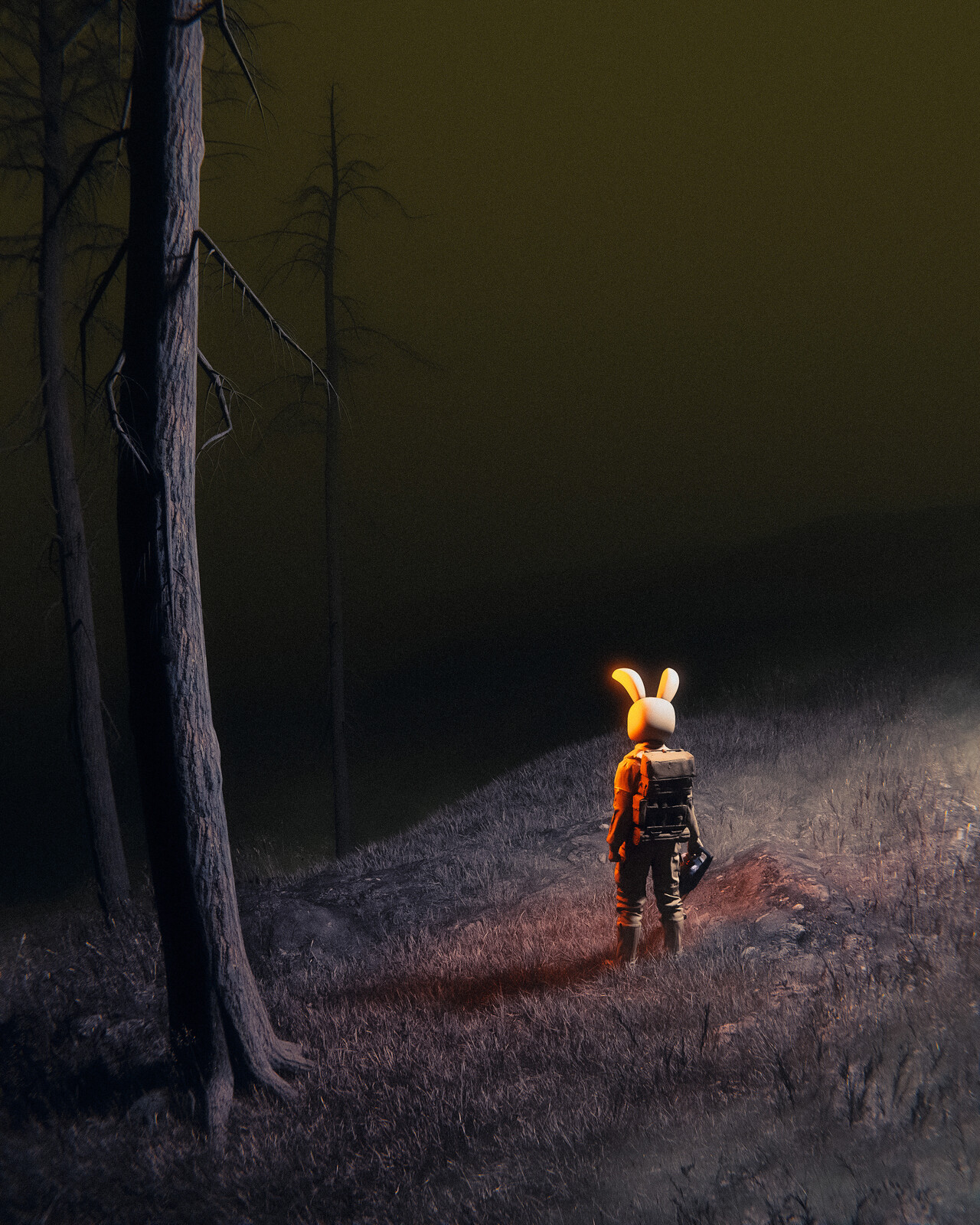 bunny stroll
