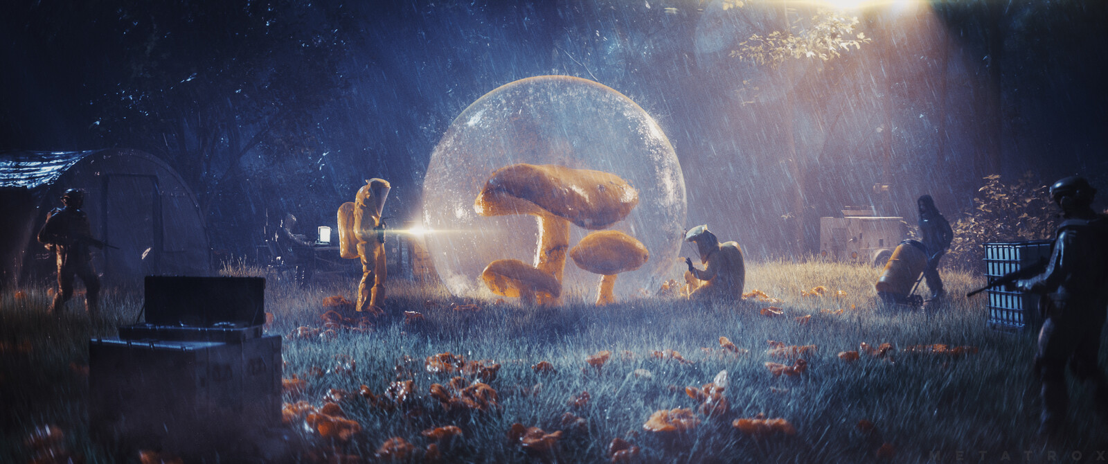 Spores