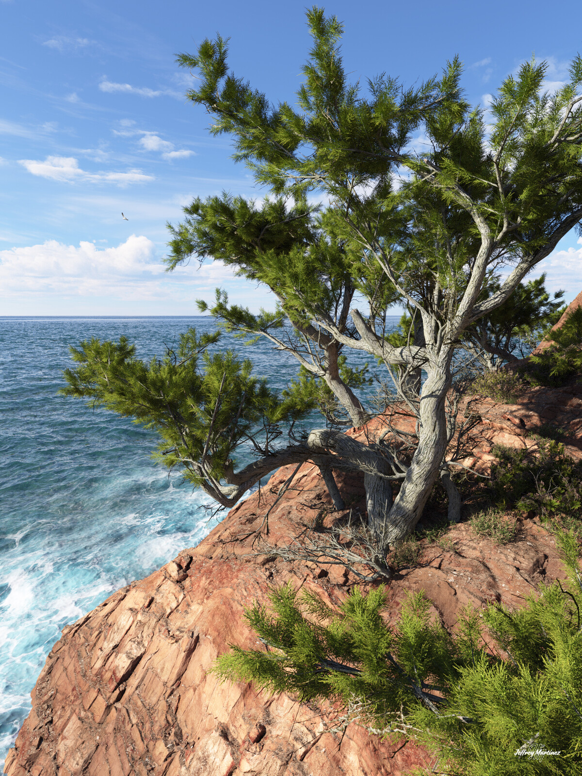 Rocky Shore