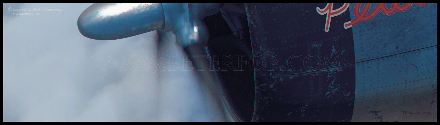 Details from unused version