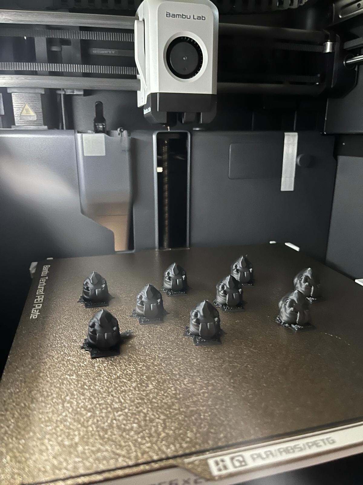 3D Printer with print