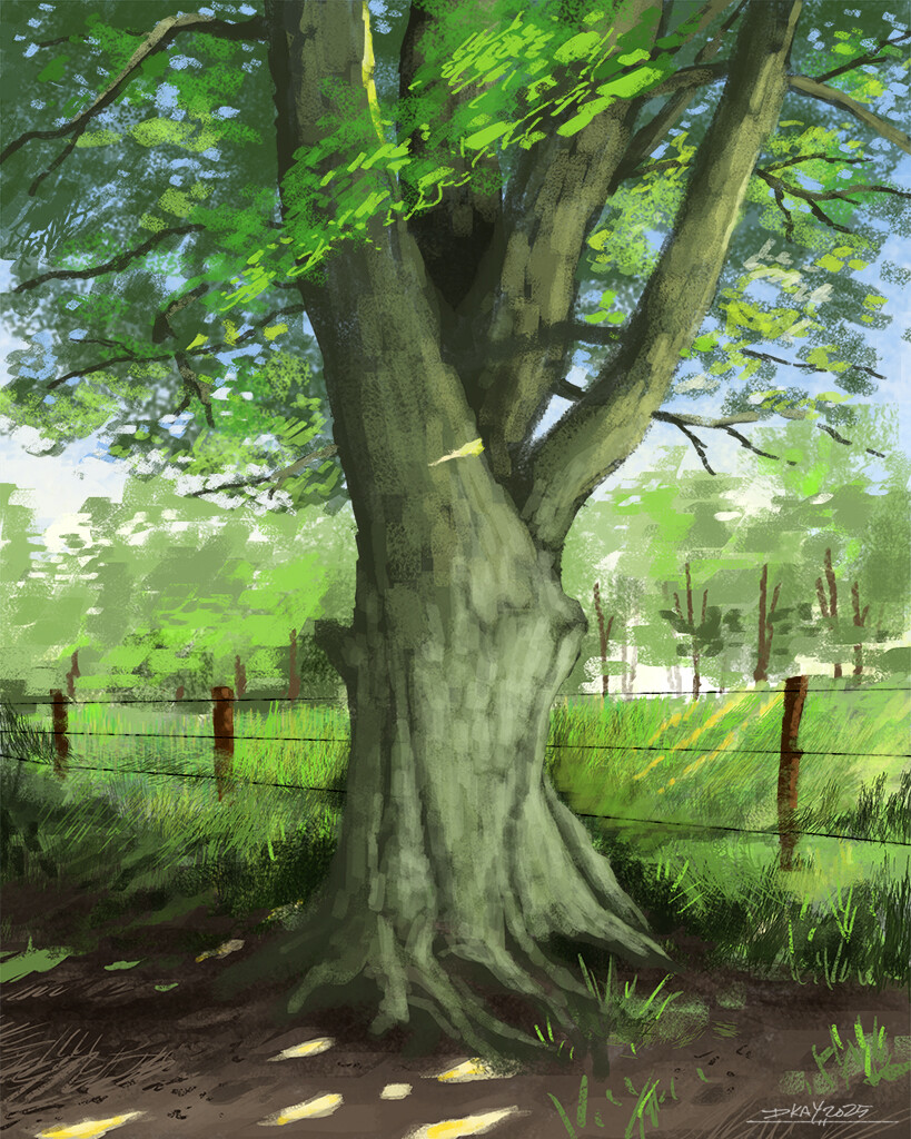 Nethercroy Loop study