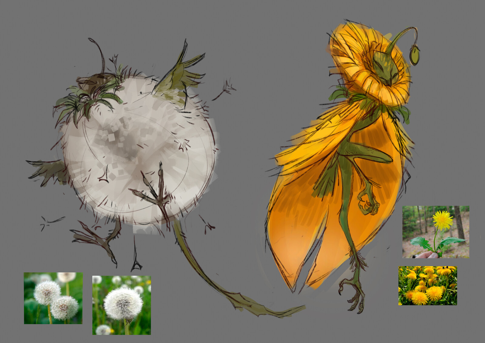 Dandelion birds concept
